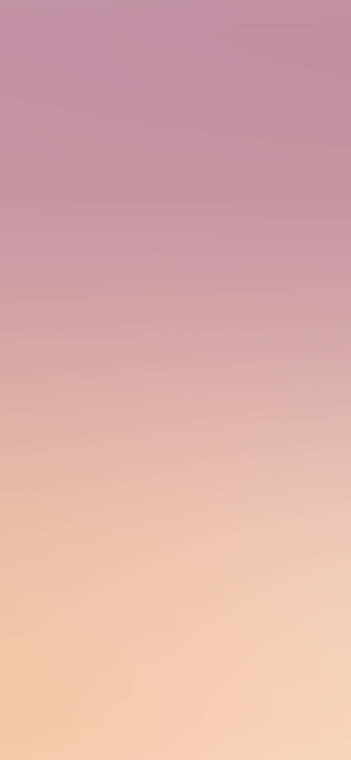 Pink Ombre Gradient Background Wallpaper
