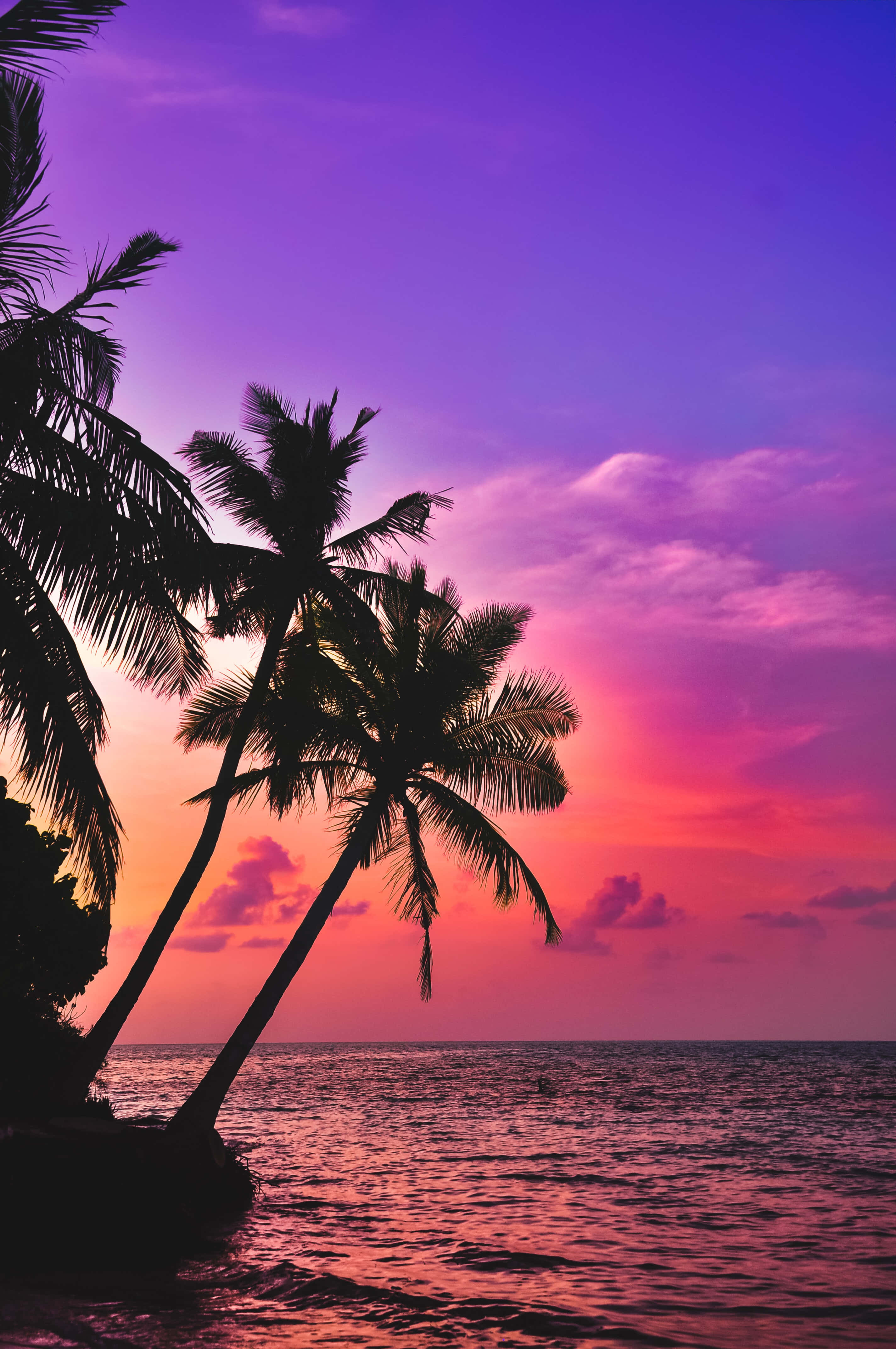 Pink Tropical Island Sunset iPhone Background Wallpaper