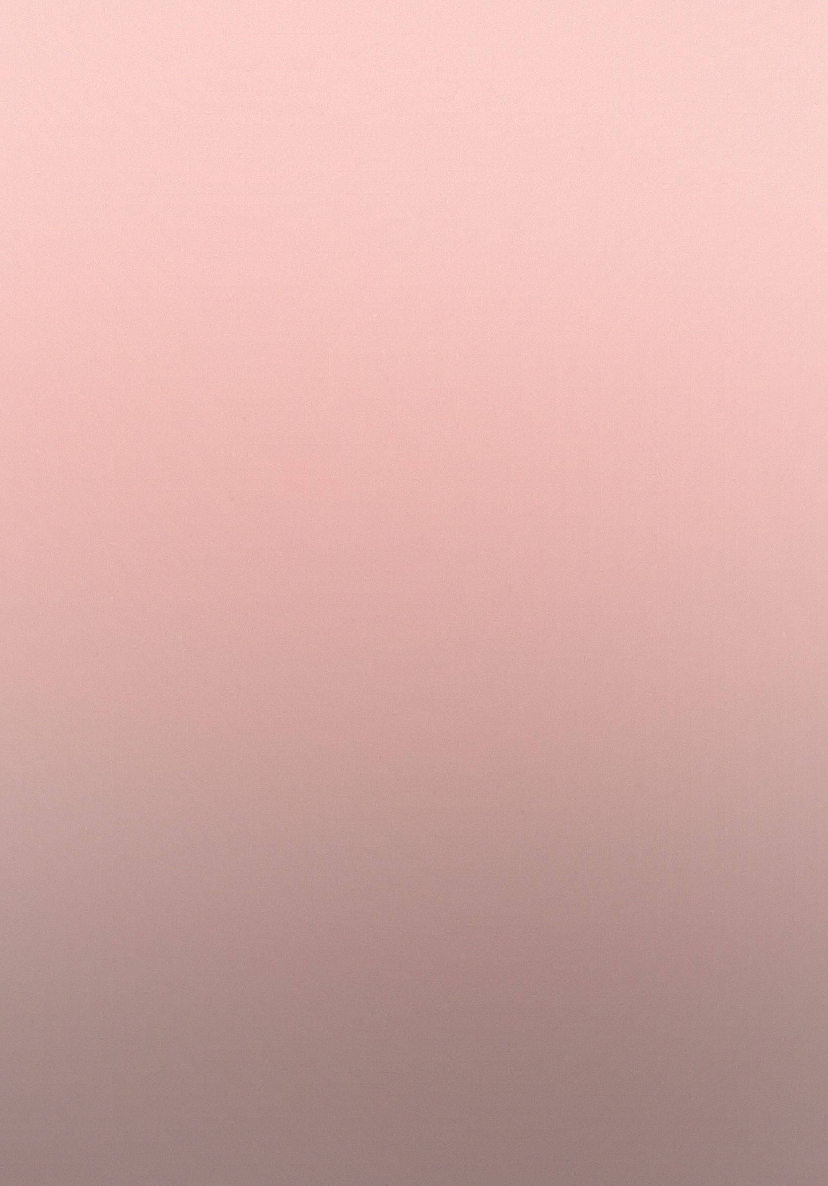 Plain Gradient Rose Gold Wallpaper