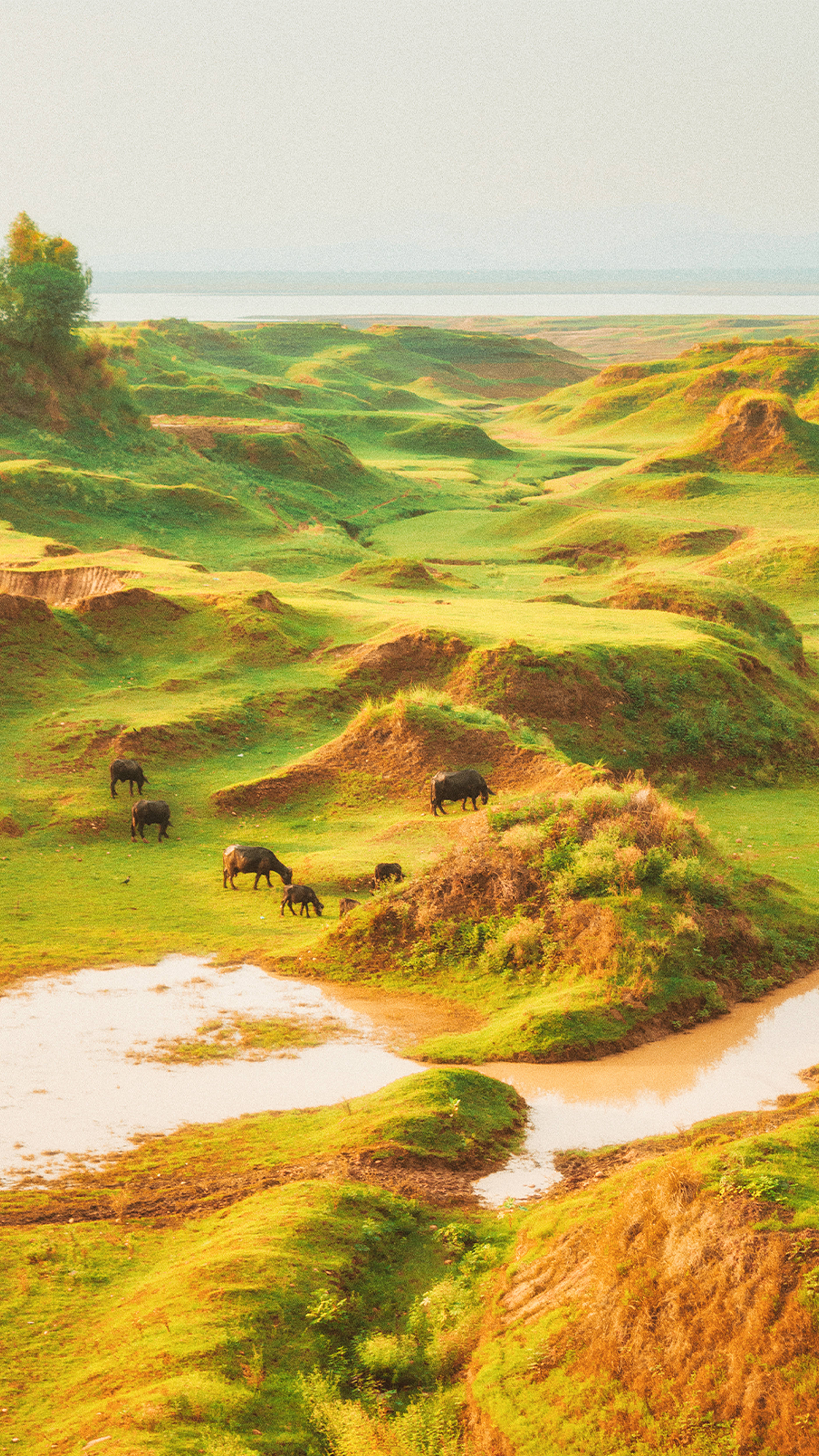 Plateau na Aesthetic ng Cottagecore Wallpaper