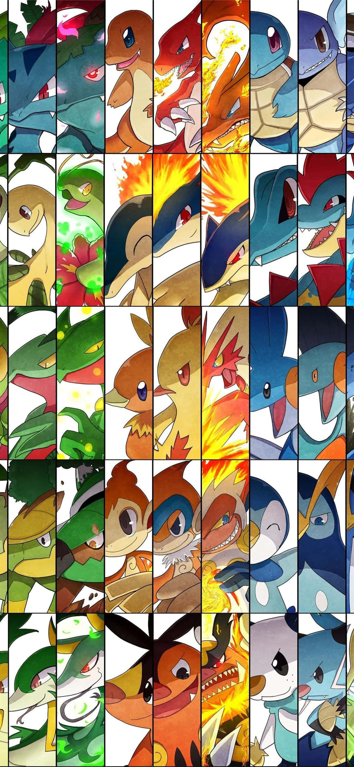 Pokemon Evolution Collage Na Nagtatampok Kay Meganium Wallpaper