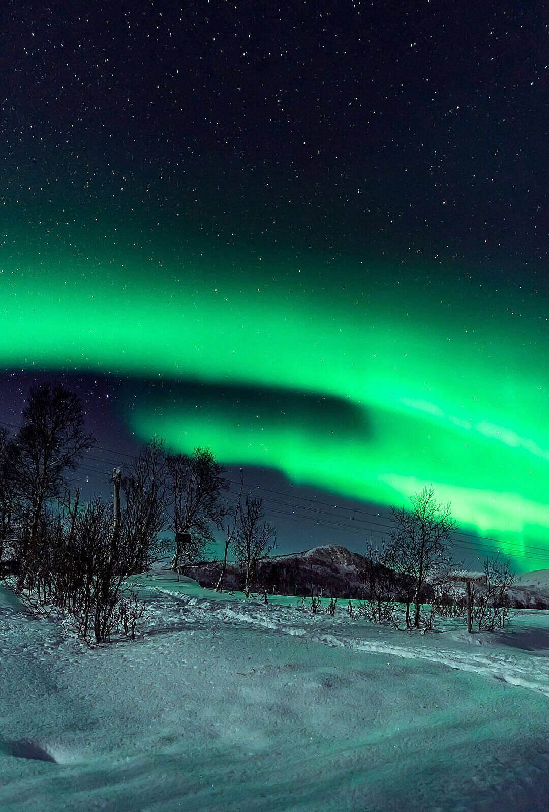 Polar Lights sa Trail ng Bundok na Green iPhone Wallpaper
