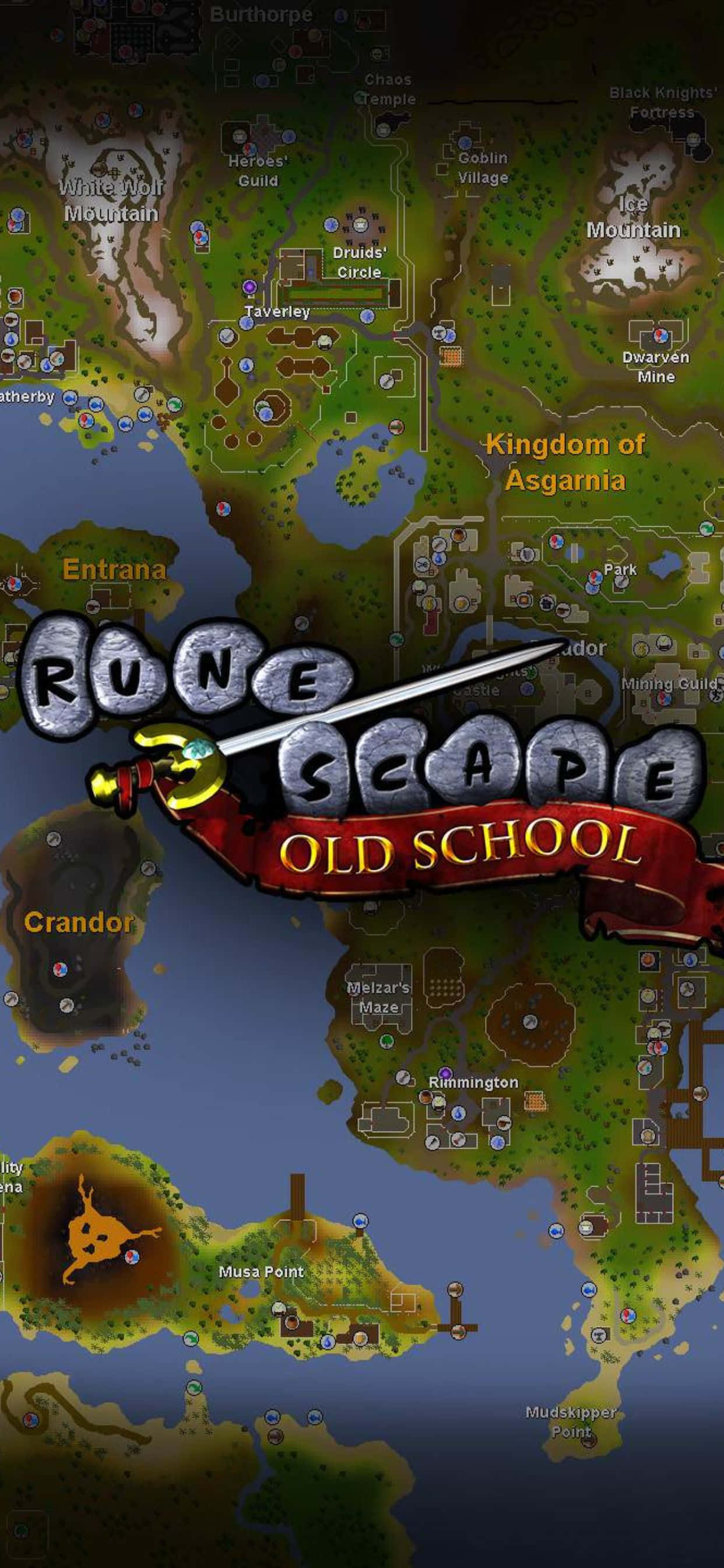 Portrait Map iPhone Xs Max Runescape Oldschool Background Wallpaper