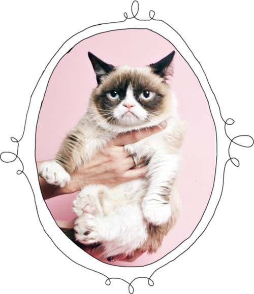 Portrait ng Grumpy Cat Wallpaper