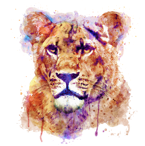 Portrait ng Lioness na Watercolor Wallpaper