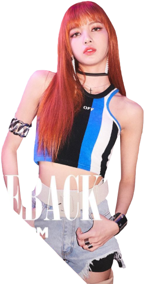 Pose ng Fashion ng Miyembro ng Blackpink Wallpaper