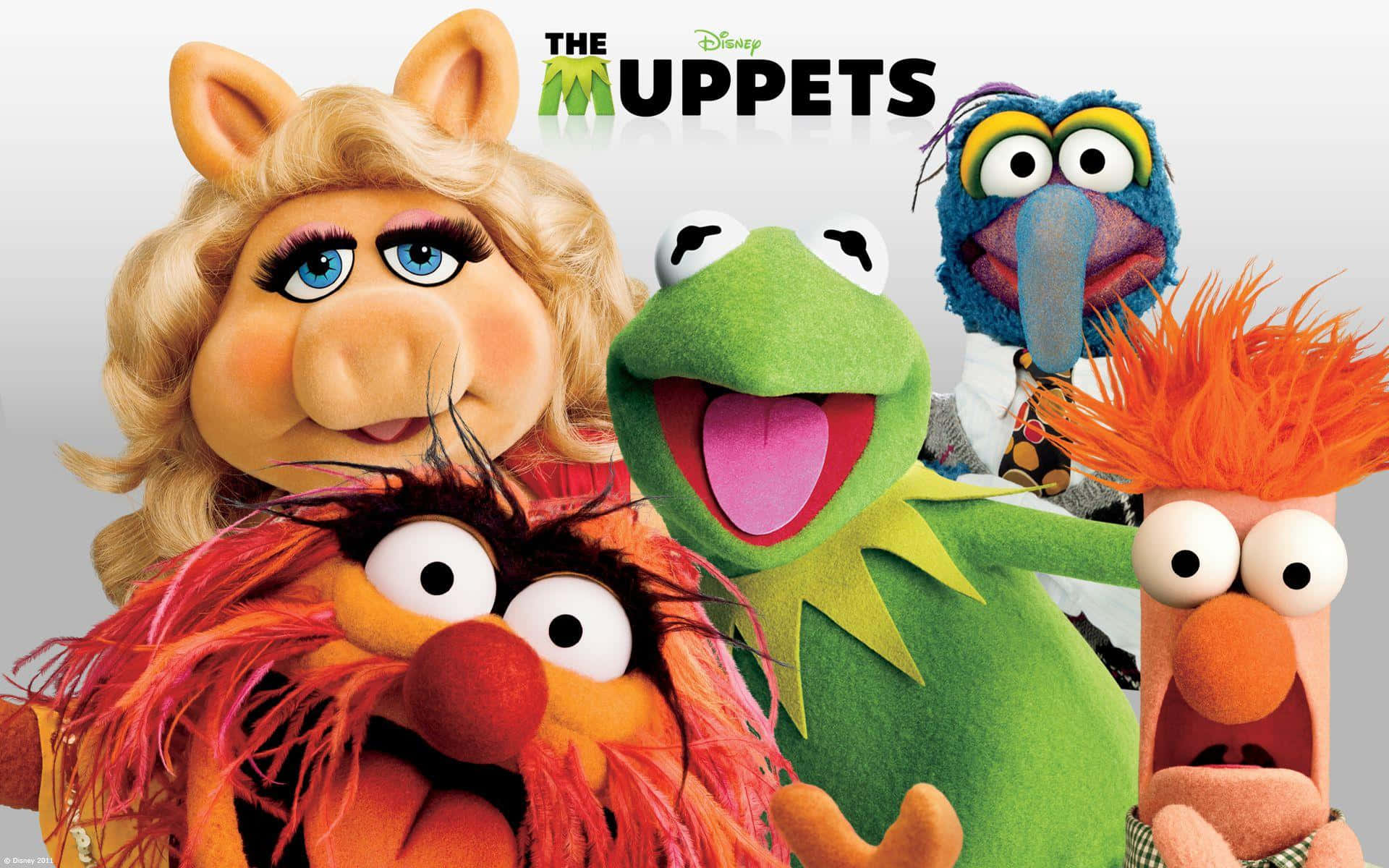 poster ng pelikulang the muppets Wallpaper