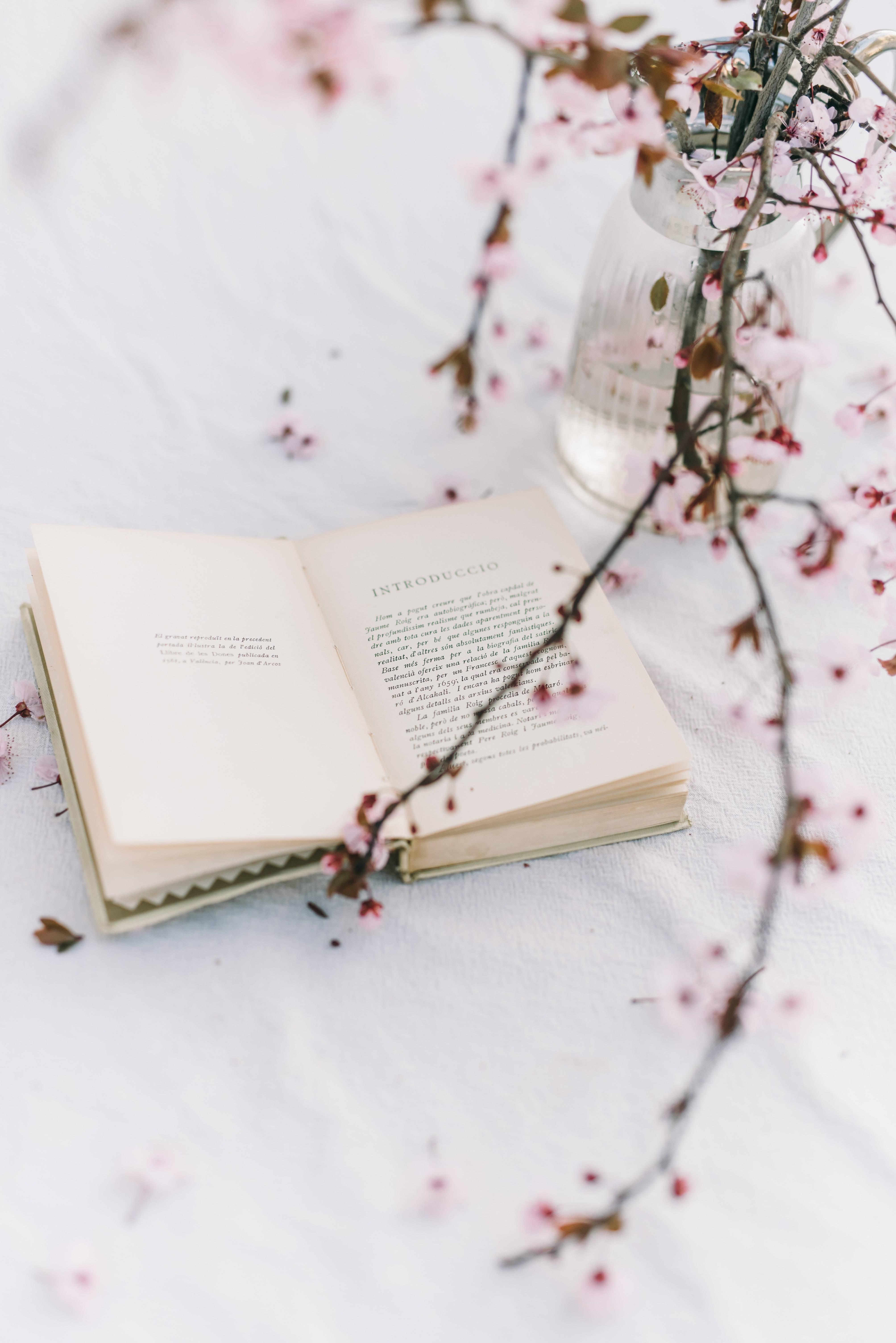Preppy Aesthetic na Cherry Blossom Book Wallpaper