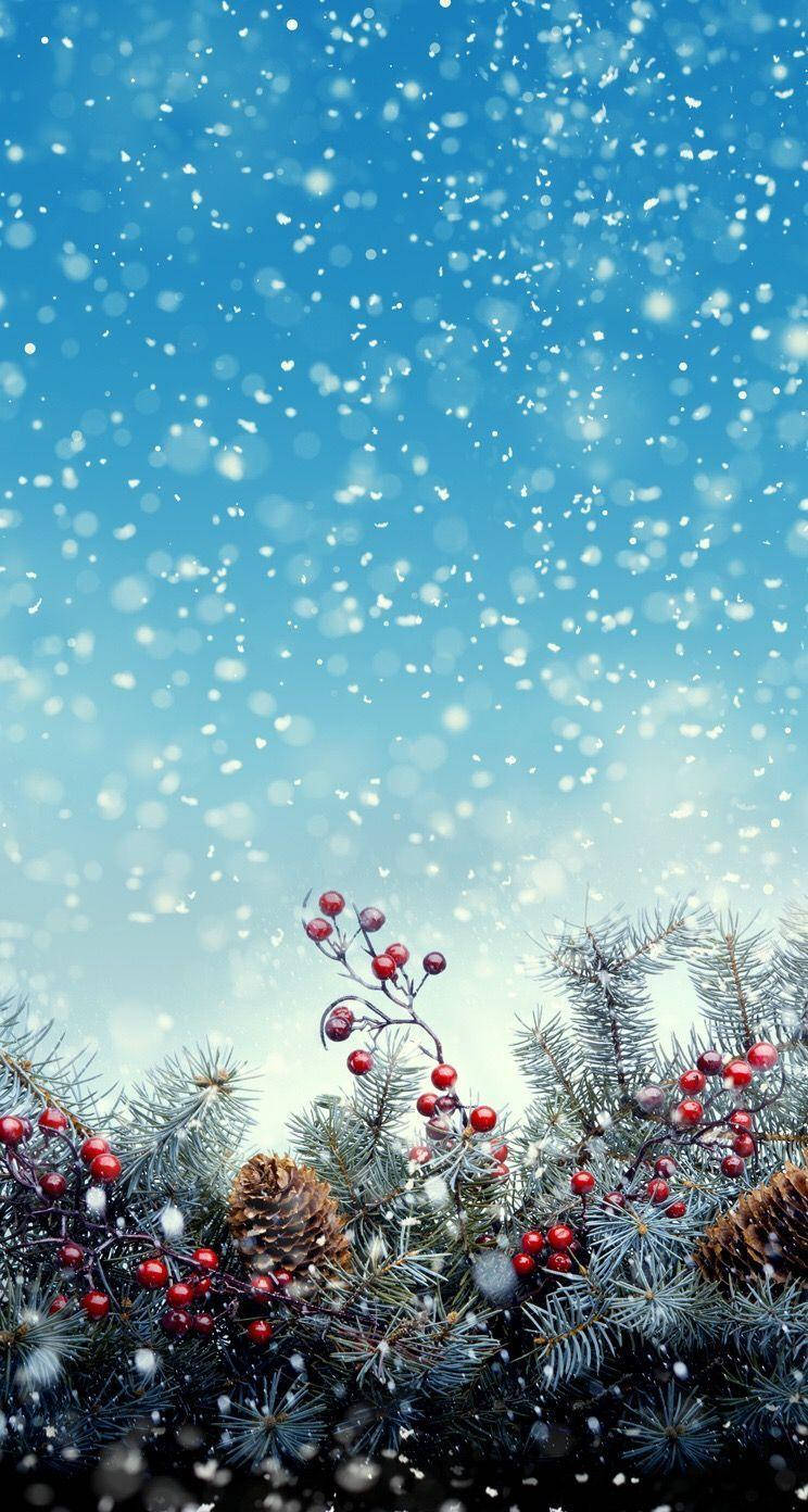 Prutas ng Pasko sa Telepono para sa Taglamig Wallpaper