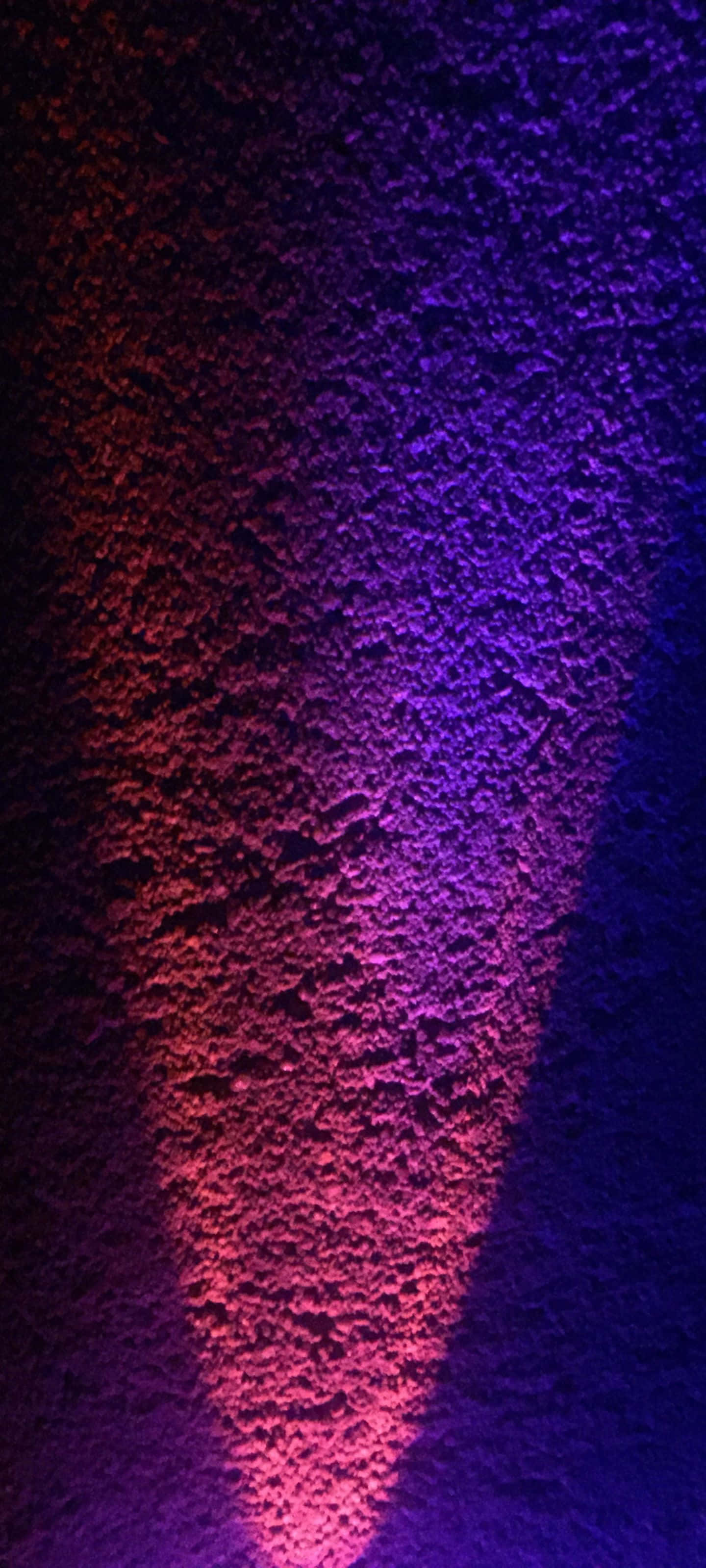 Pulang Bulaklak sa Luntiang Parang Wallpaper