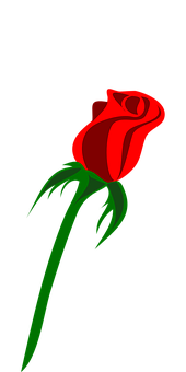 Pulang Rosas Itim na Background Wallpaper