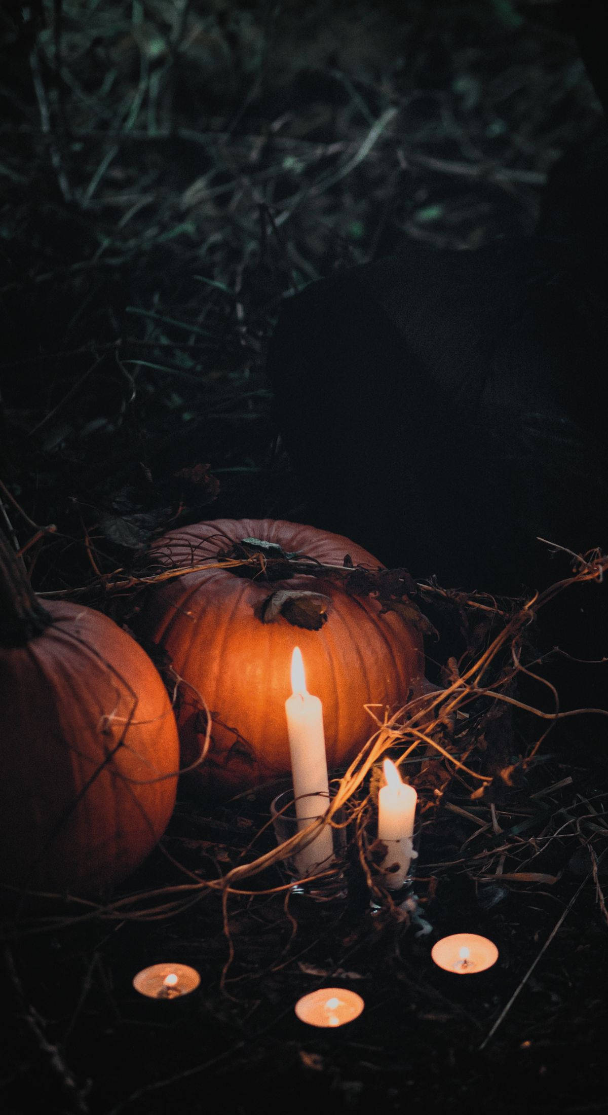Pumpkin At Kandila Halloween iPhone Wallpaper