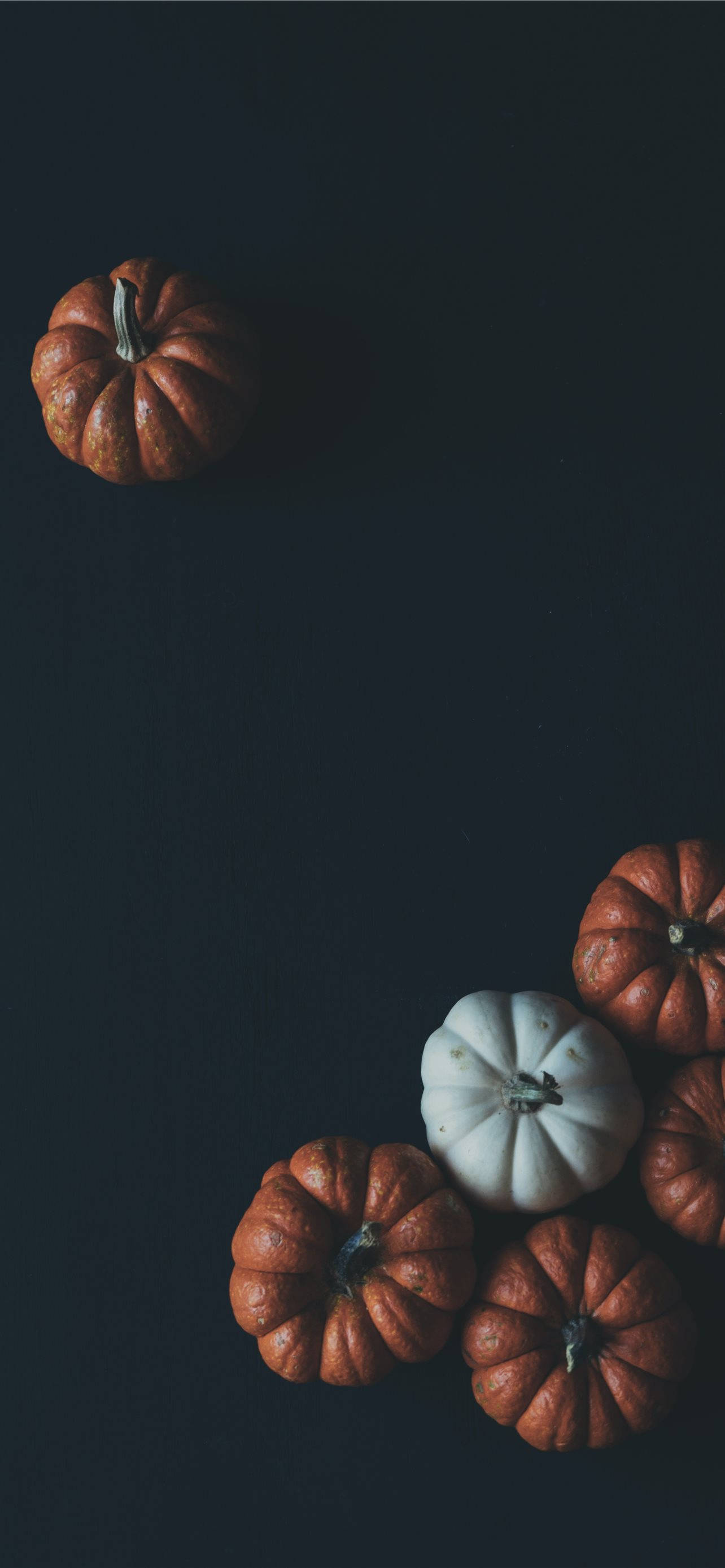 Pumpkins On Black Background Thanksgiving iPhone Wallpaper