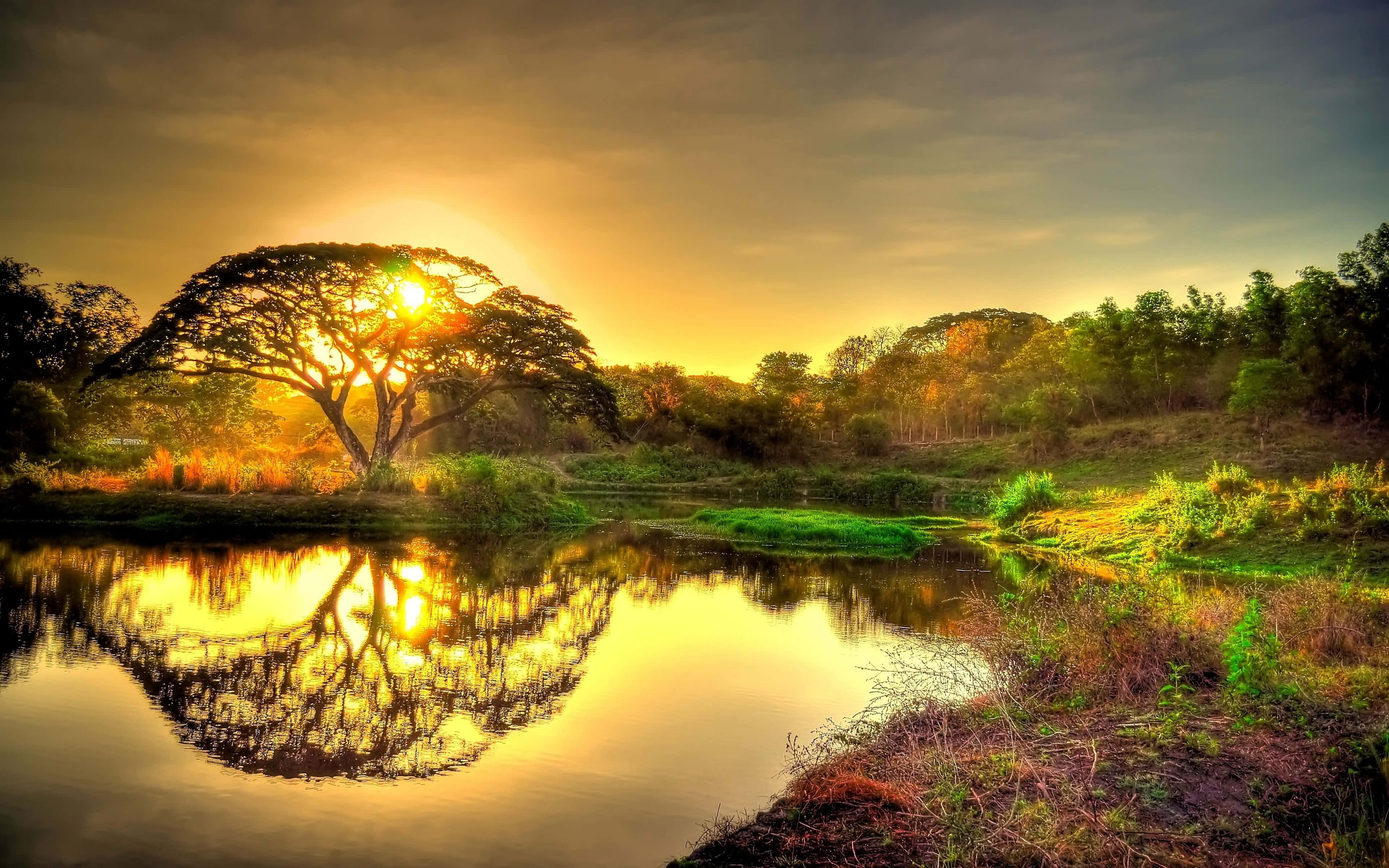 Puno at Ginintuang Paglubog ng Araw 4K Ultra HD Landscape Wallpaper