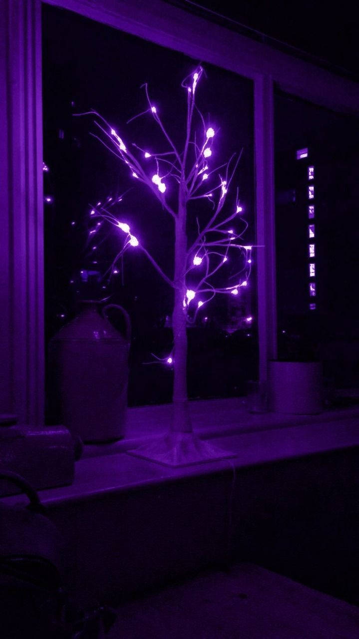 Puno ng Pasko na Aesthetic na Kulay Lila at Itim Wallpaper