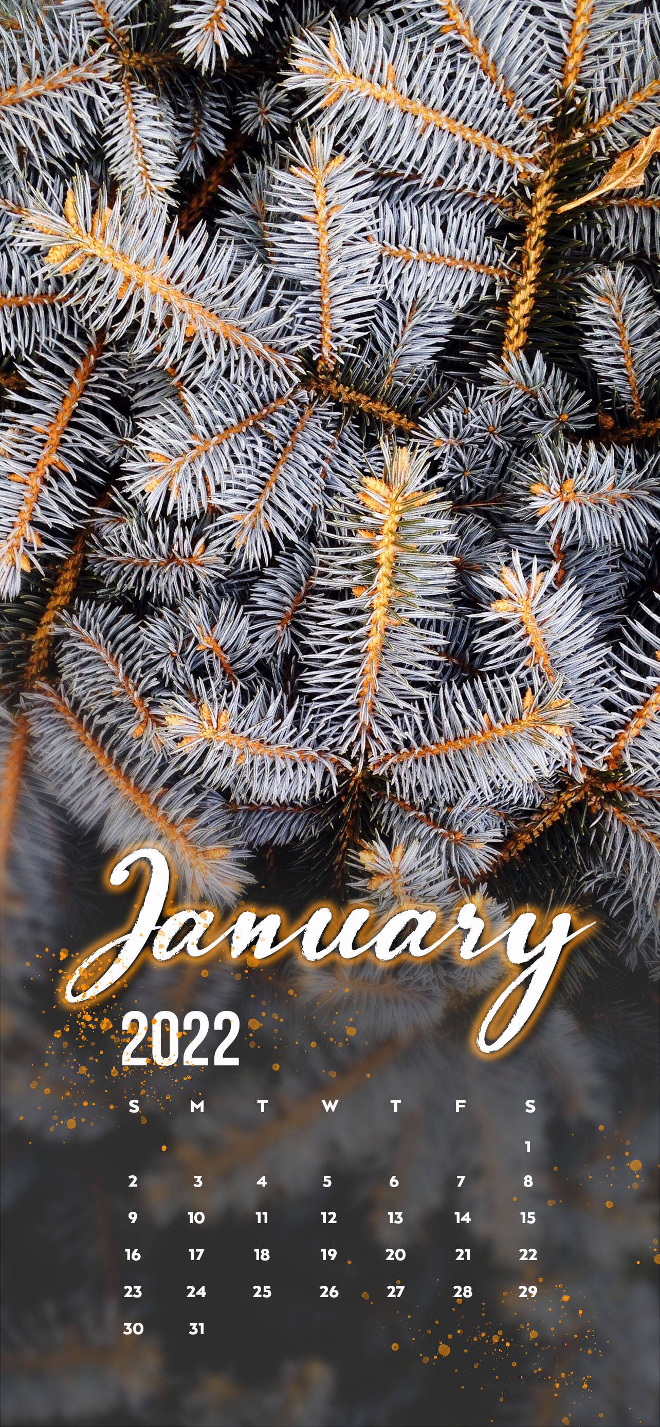 Punong Pino ng Enero 2022 Wallpaper