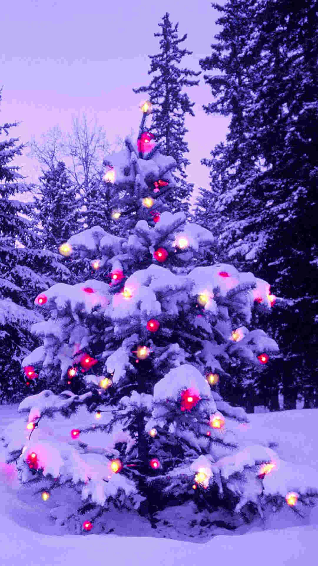 Punong Puno na Puno ng Pasko para sa iPhone Wallpaper