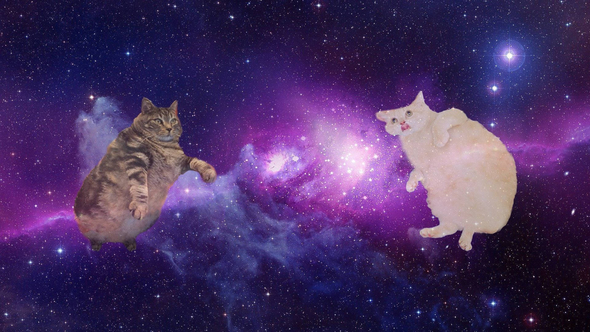 Pusa Computer sa Kalawakan Wallpaper