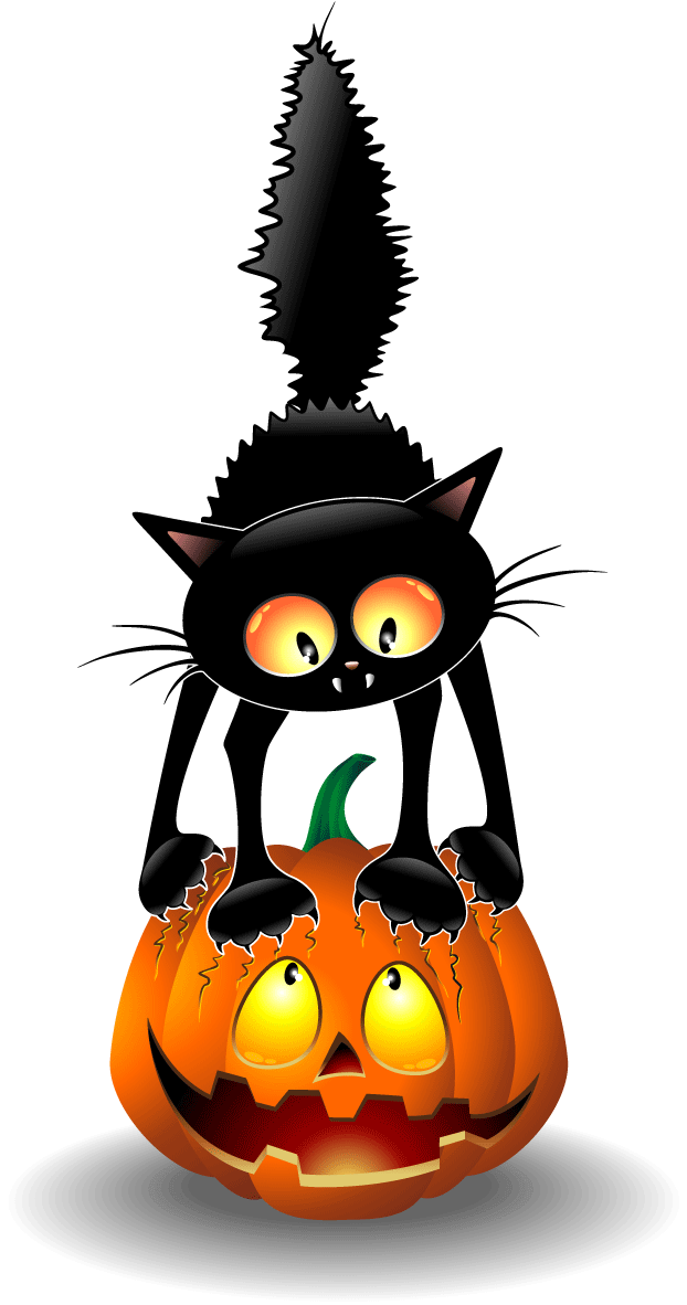Pusa Itim at Jack O Lantern para sa Halloween Wallpaper