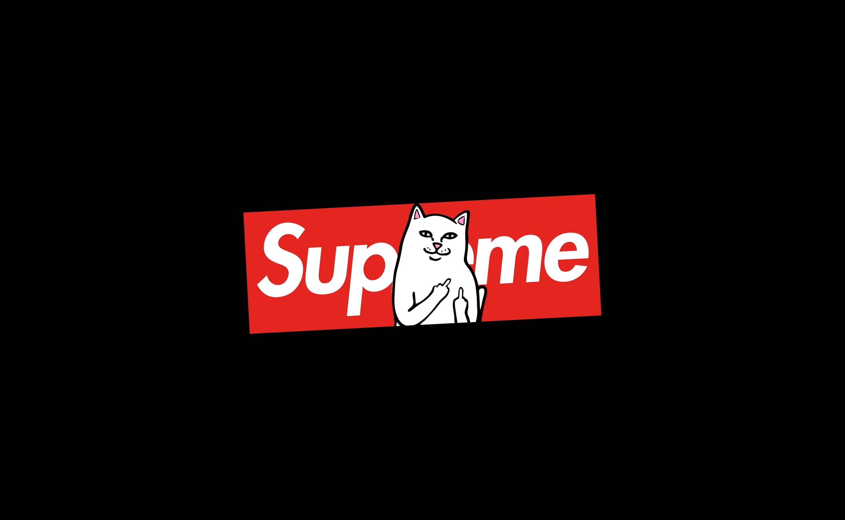 Pusa na Nakaupo sa Supreme Laptop Wallpaper