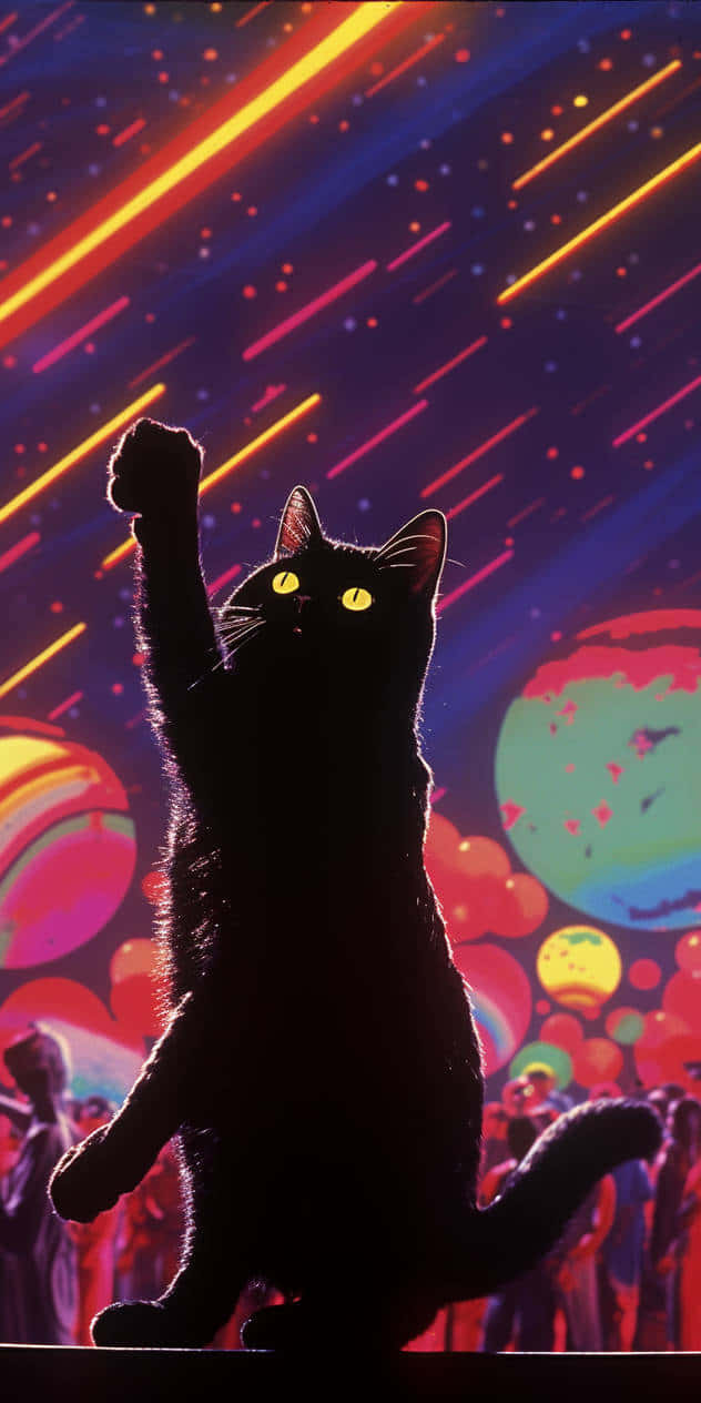 Pusa sa Gabi ng Disco Wallpaper