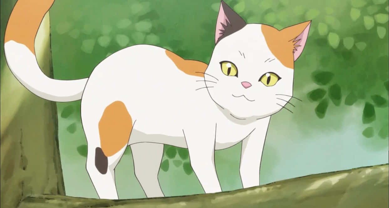 Pusang Anime na Perpekto Wallpaper