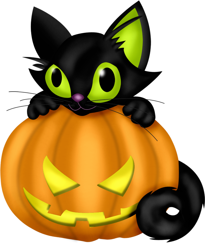Pusang Halloween sa Kalabasa Wallpaper