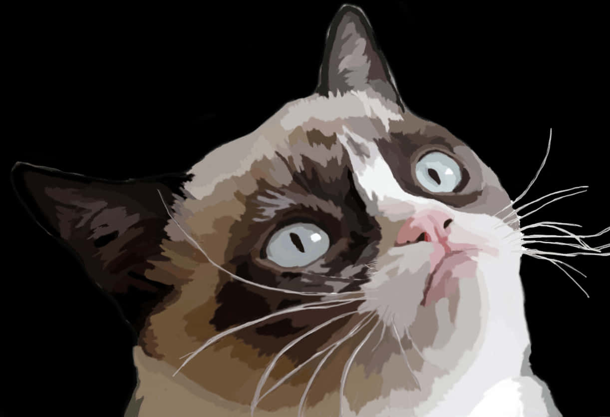 Pusang Kayumanggi at Puti na Nagtatanong Wallpaper