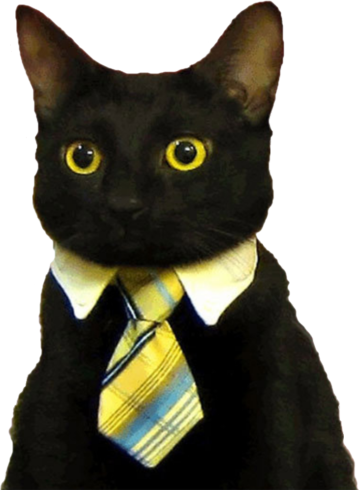 Pusang Negosyante na Naka-Suit_ Meme.PNG Wallpaper