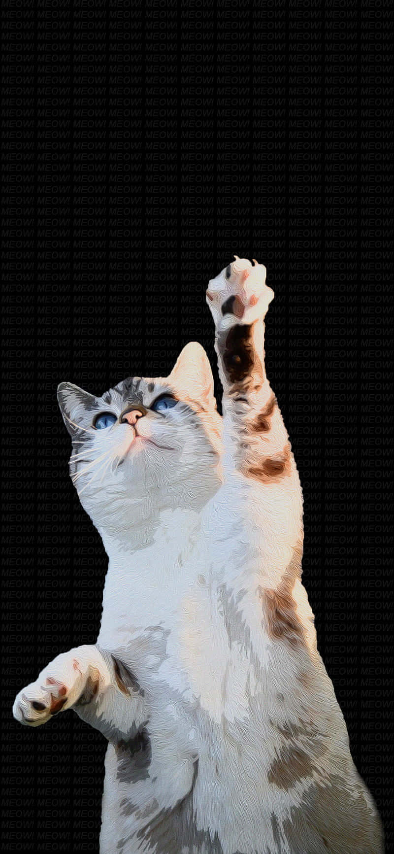 Pusang Sumasayaw na Nagtataas ng Paa.JPG Wallpaper