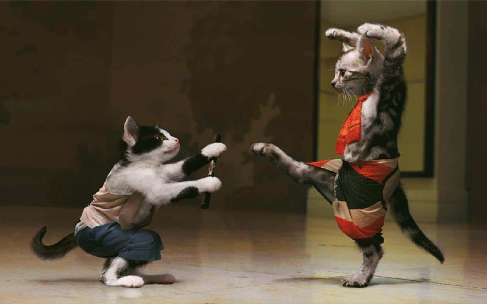 Pusang Sumasayaw na Naka-Kostyum Wallpaper
