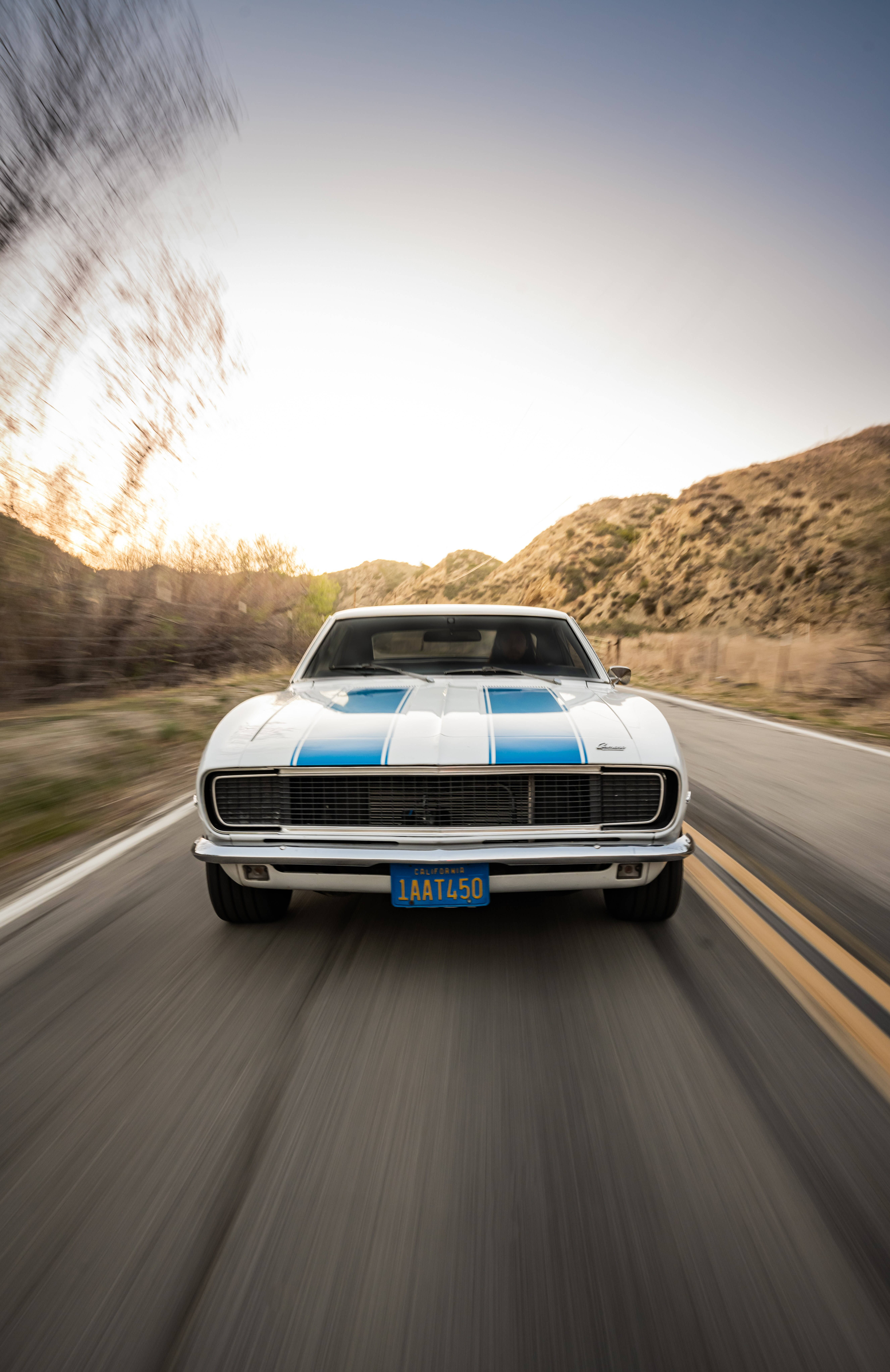 Puting Chevrolet Chevelle Wallpaper
