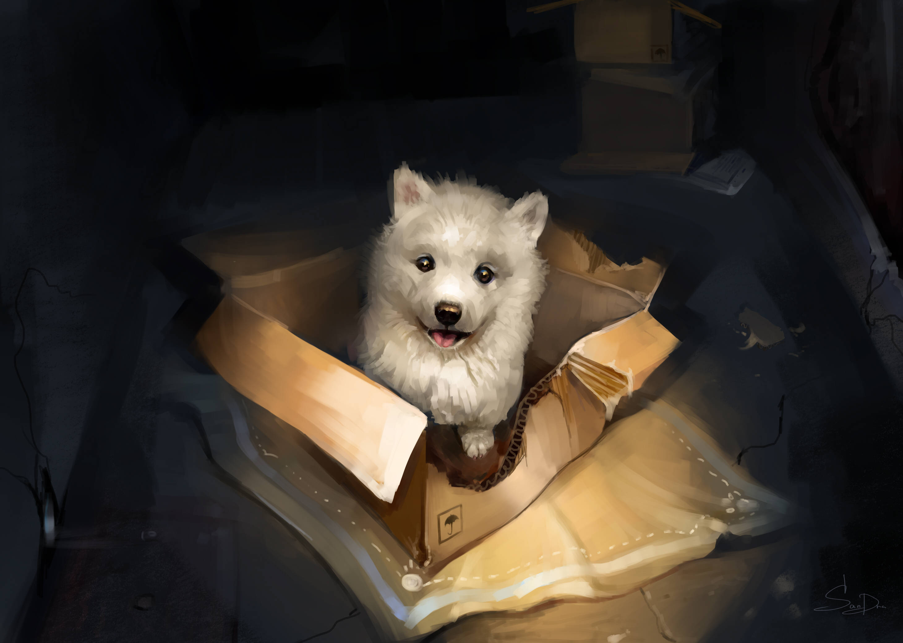 Puting Cute na Tuta sa Loob ng Kahon Wallpaper