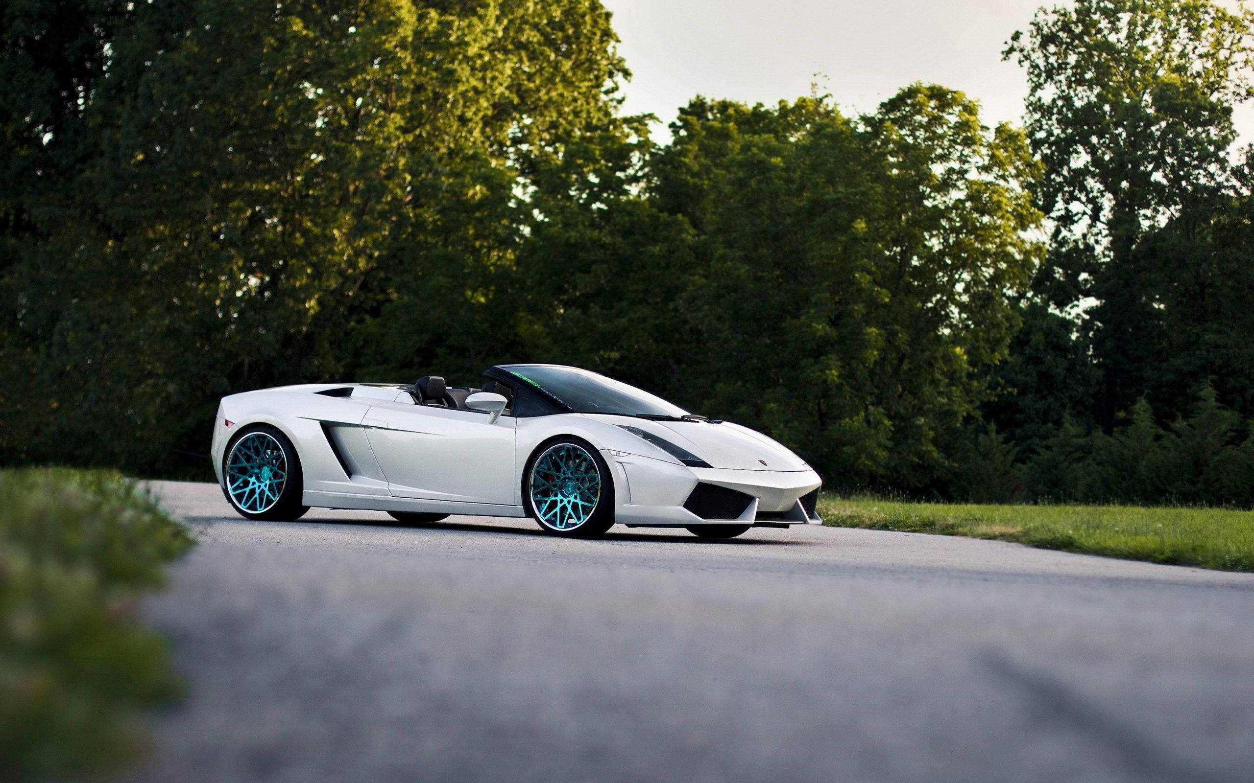 Puting Lamborghini Gallardo Spyder na Nakababa ang Bubong Wallpaper