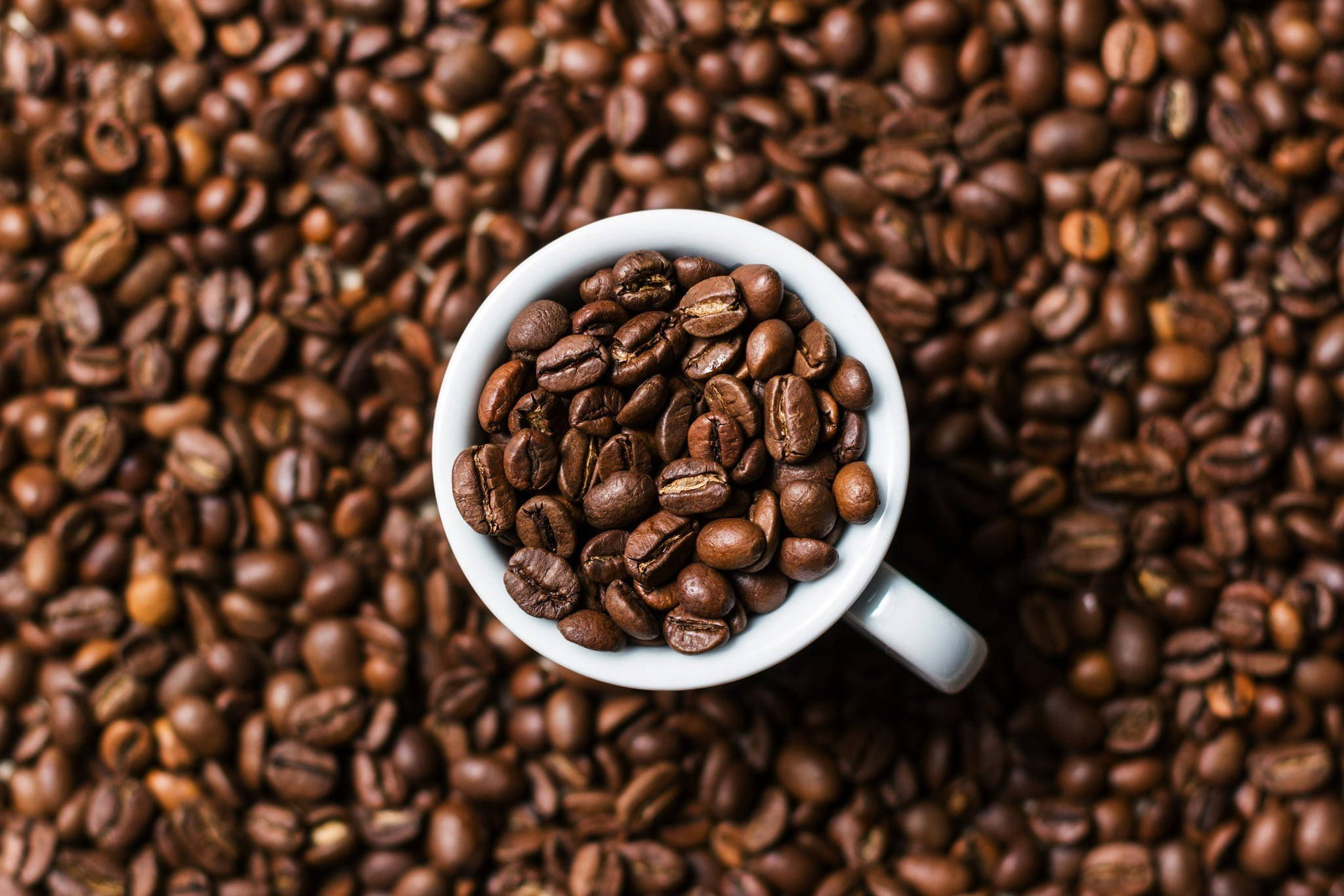 Puting Mug na Puno ng Coffee Beans Wallpaper
