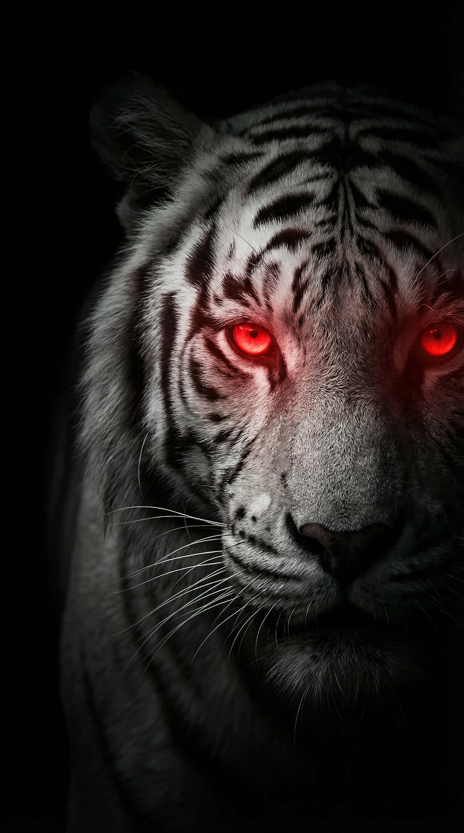 Puting Tigre na May Kumikinang na Pulang Mata 4K Wallpaper