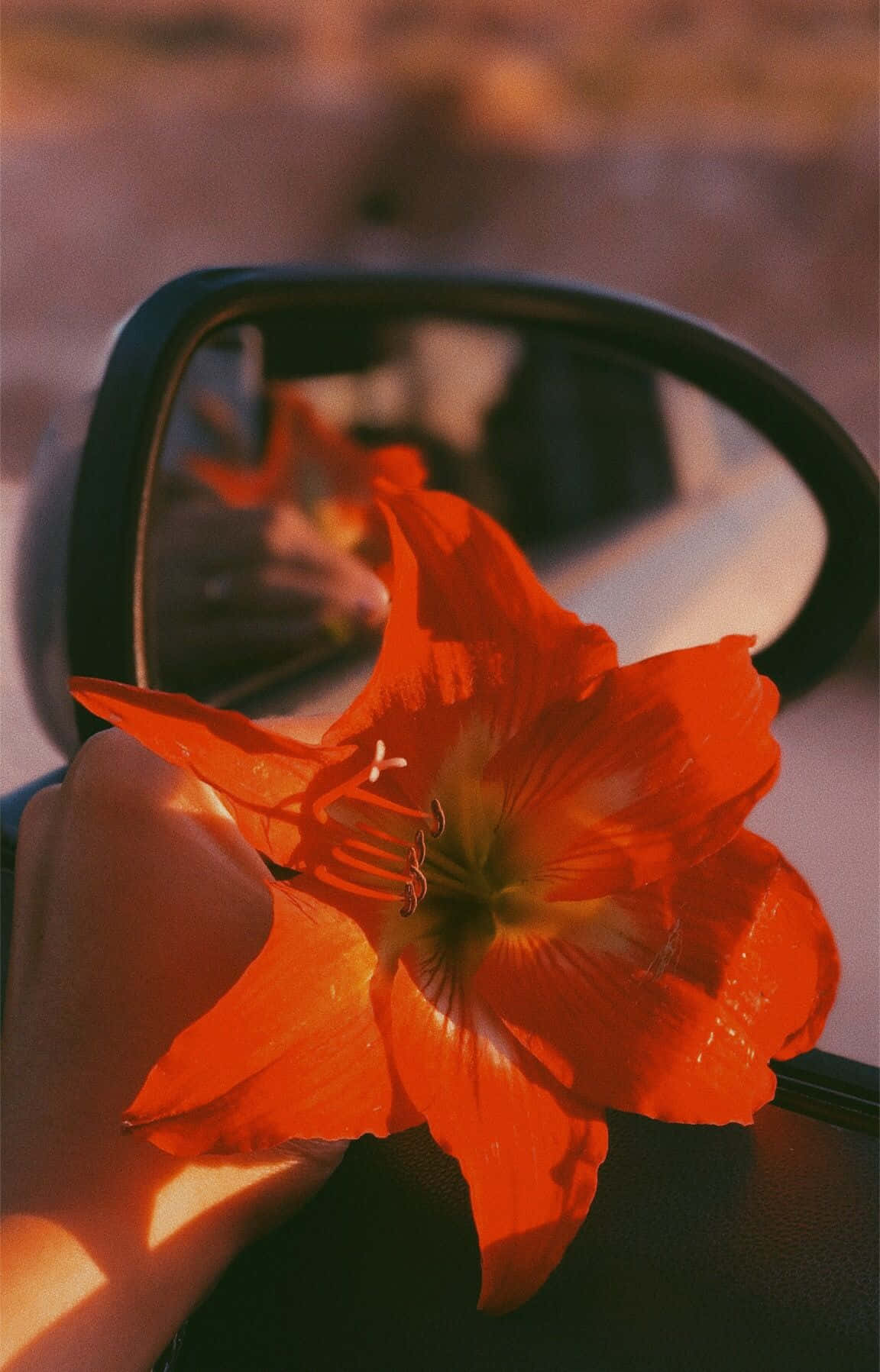 Radiant, eye-catching orange aesthetic Wallpaper