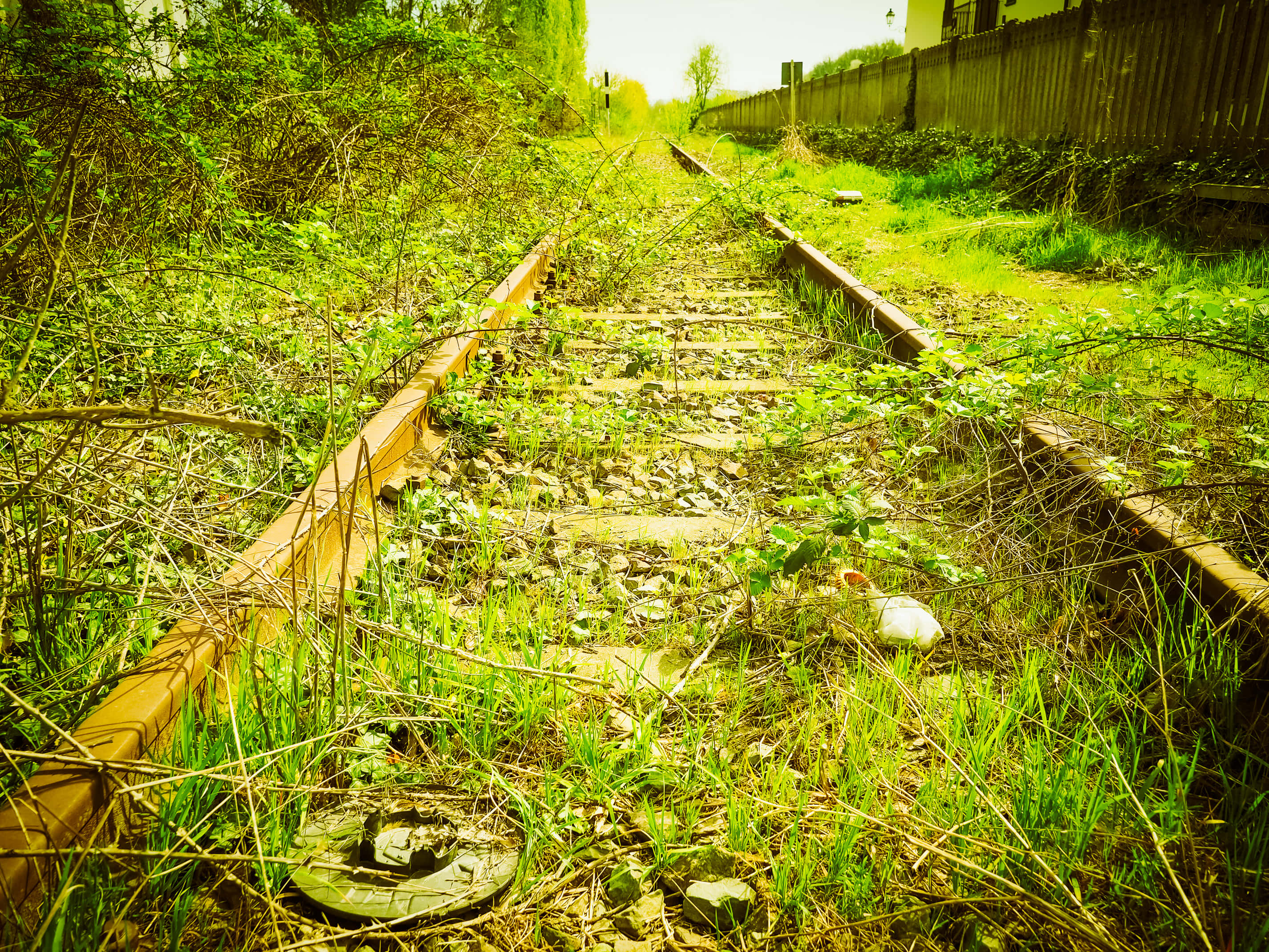 Railroad Vegetation Picture Wallpaper