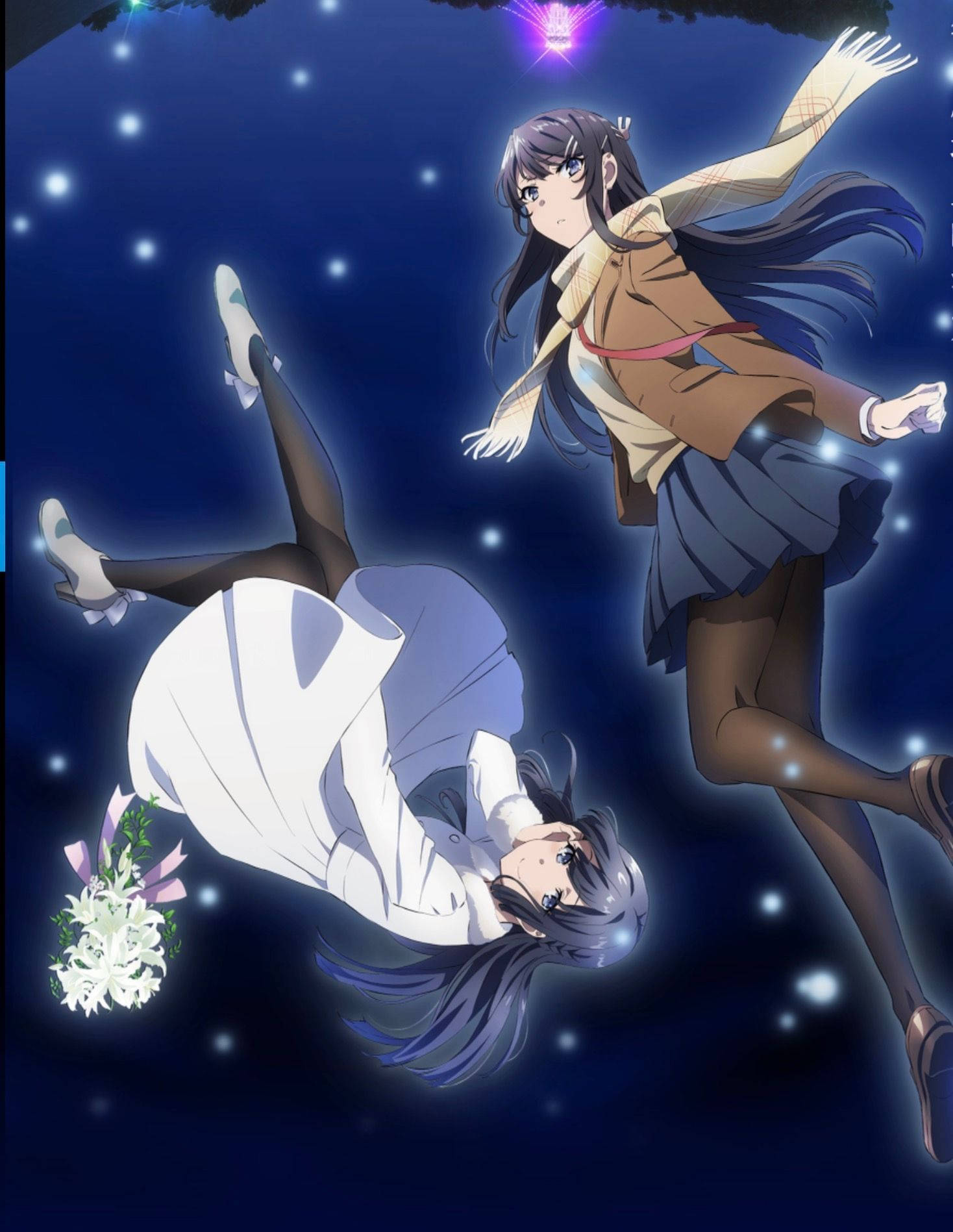 Rascal Does Not Dream Of Bunny Girl Senpai Shoko At Mai Wallpaper
