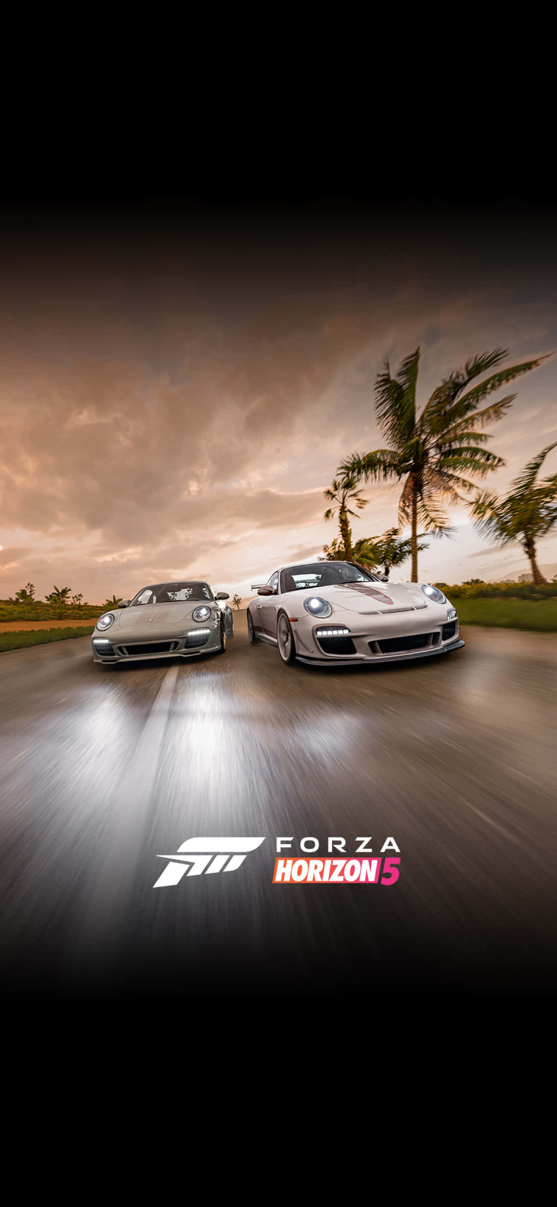 Ravensburger Porsche iPhone X Forza Motorsport 7 Background Wallpaper