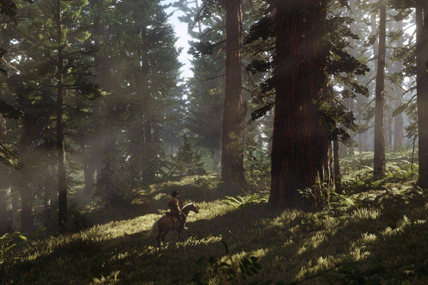 Red Dead Redemption 2 4K Kagubatan Wallpaper