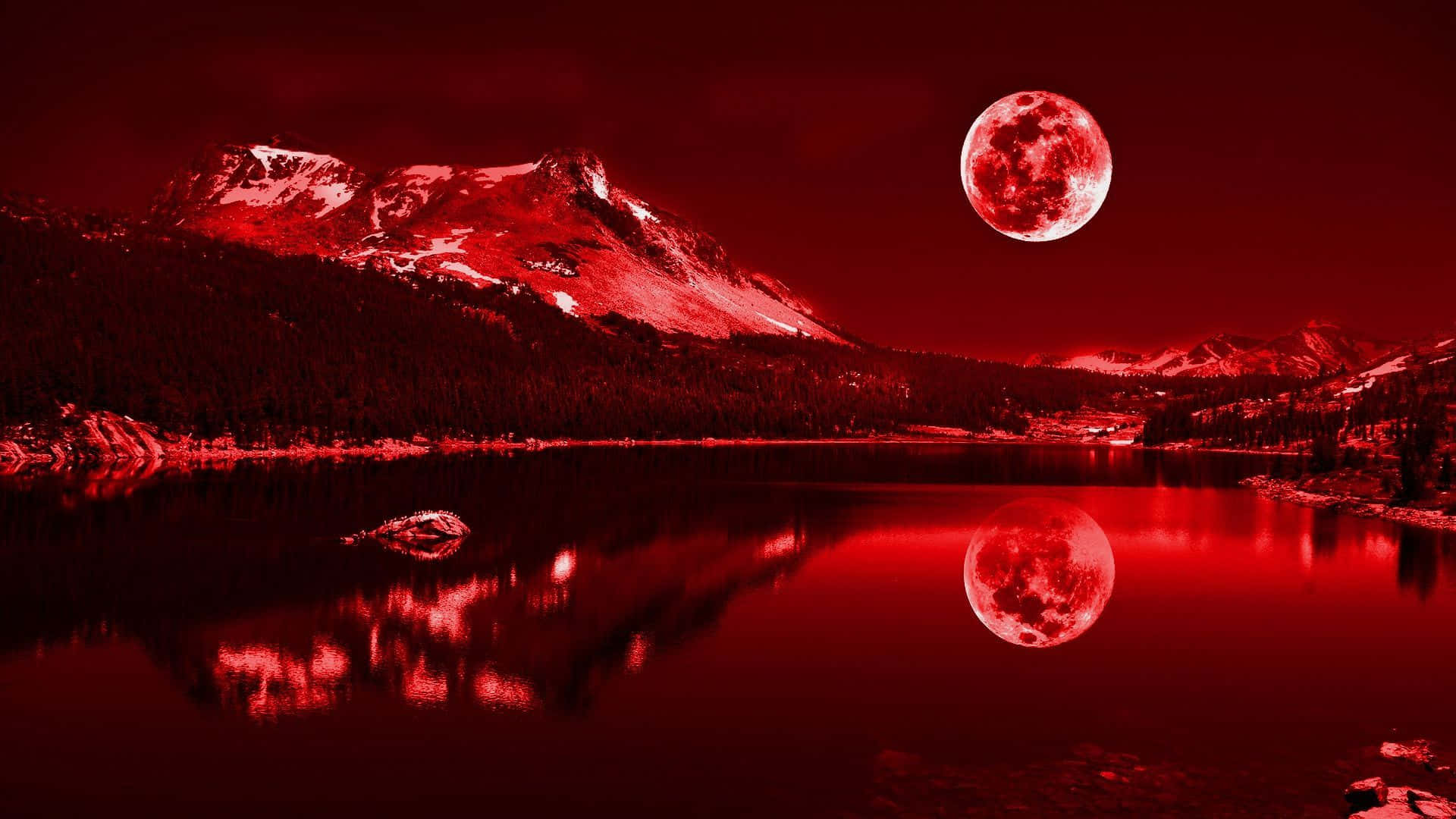 Red na 1920x1080 Wallpaper