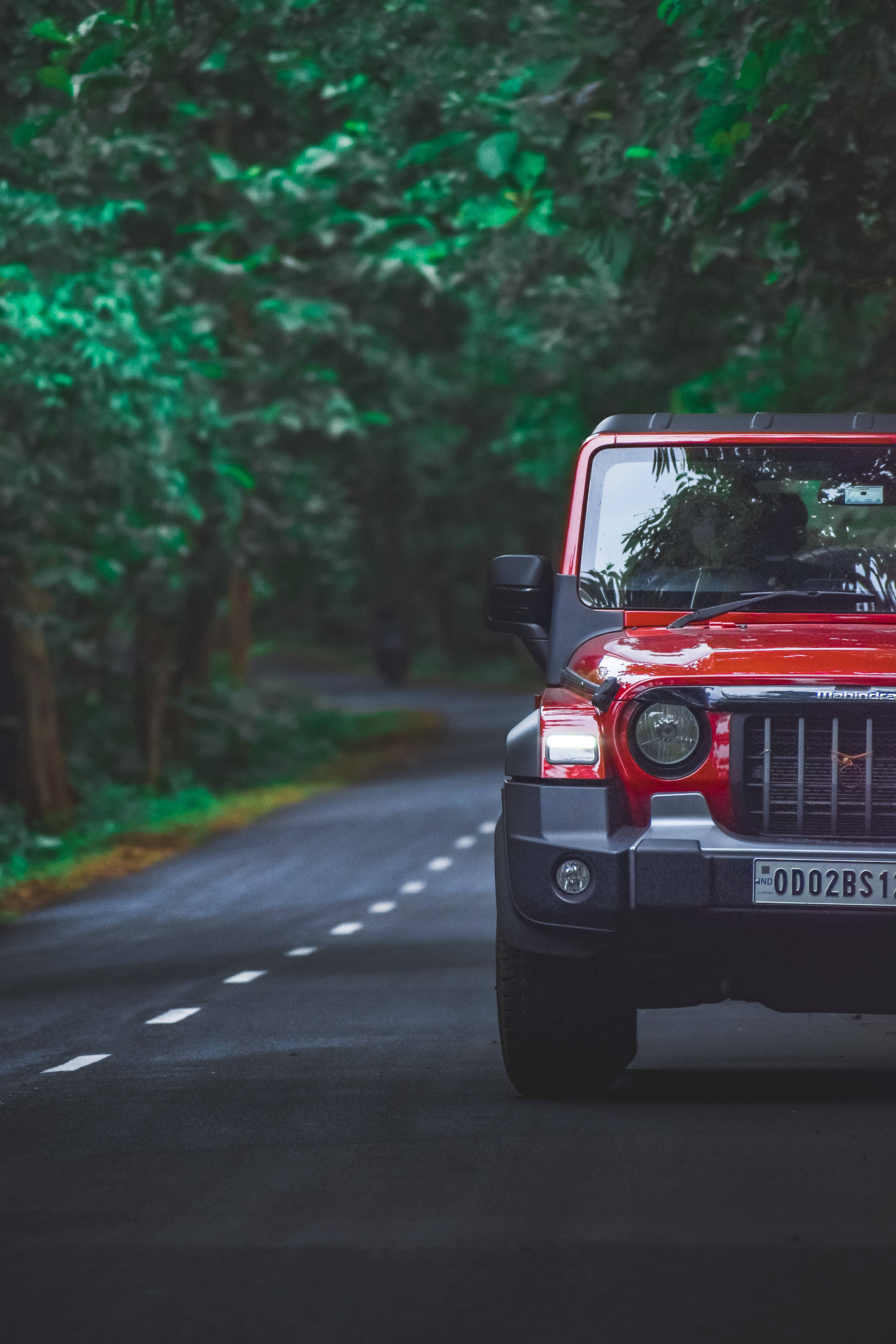 Red Thar 4K - Sa Gitna ng Luntiang Kalikasan Wallpaper