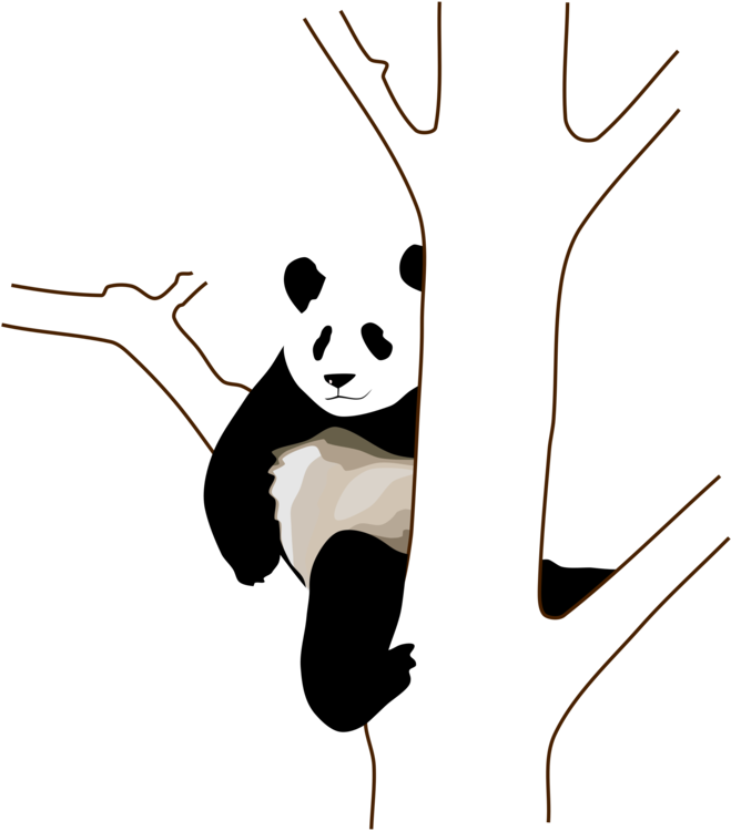 Relaxadong Panda na Kumakapit sa Puno Wallpaper