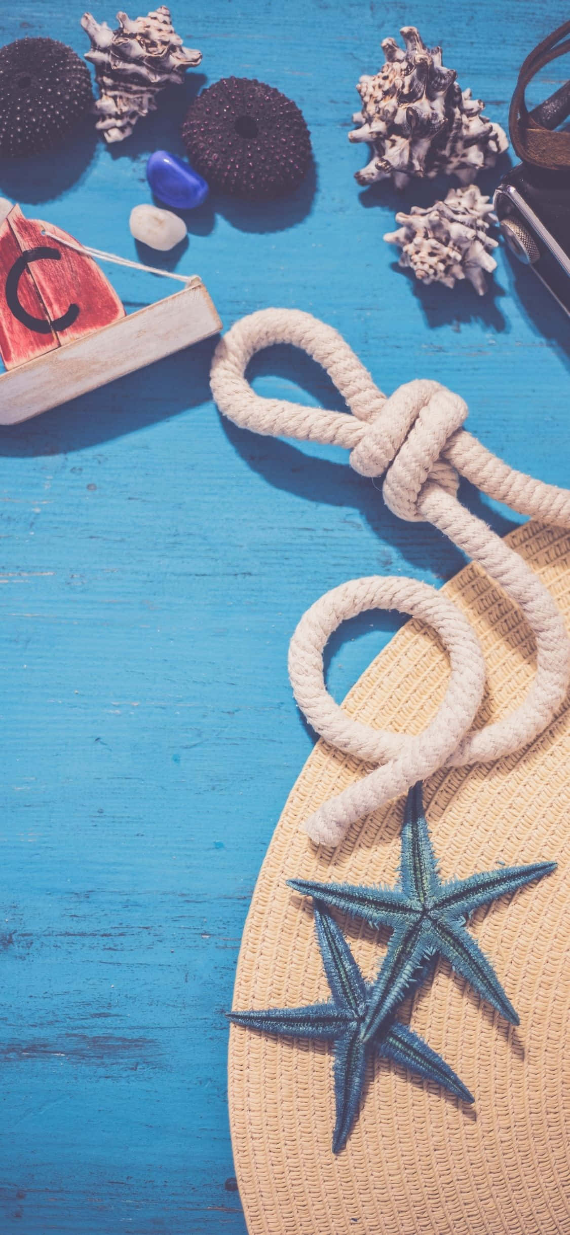 Rope Knot iPhone X Summer Background Wallpaper
