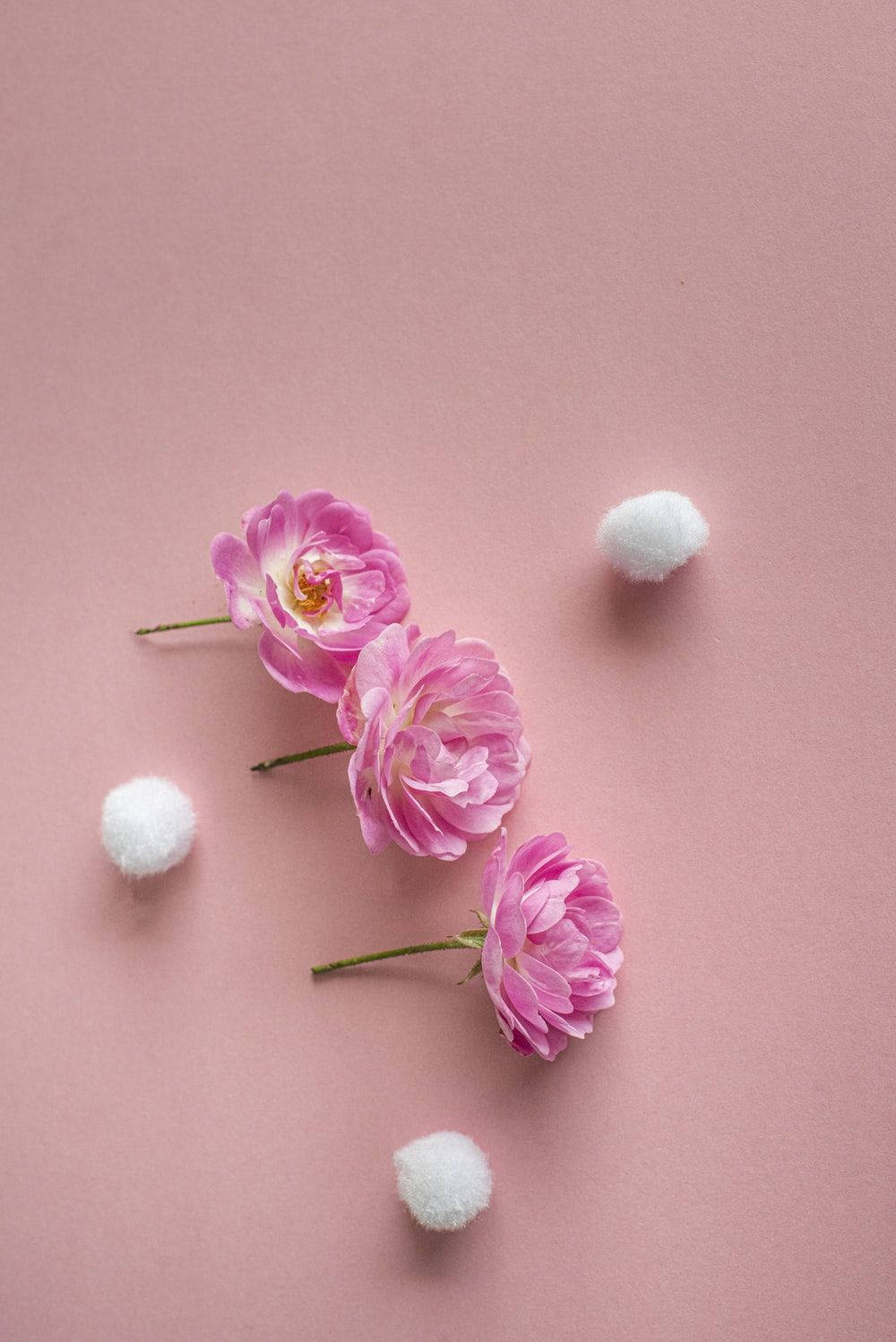 Rosa Vintage Aesthetic na Tatlong Rosas Wallpaper