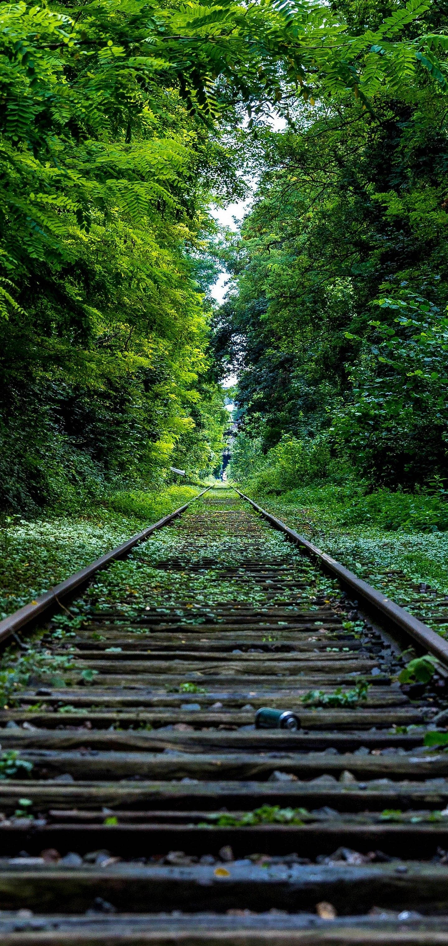 S10 Railroad Green Trees Wallpaper