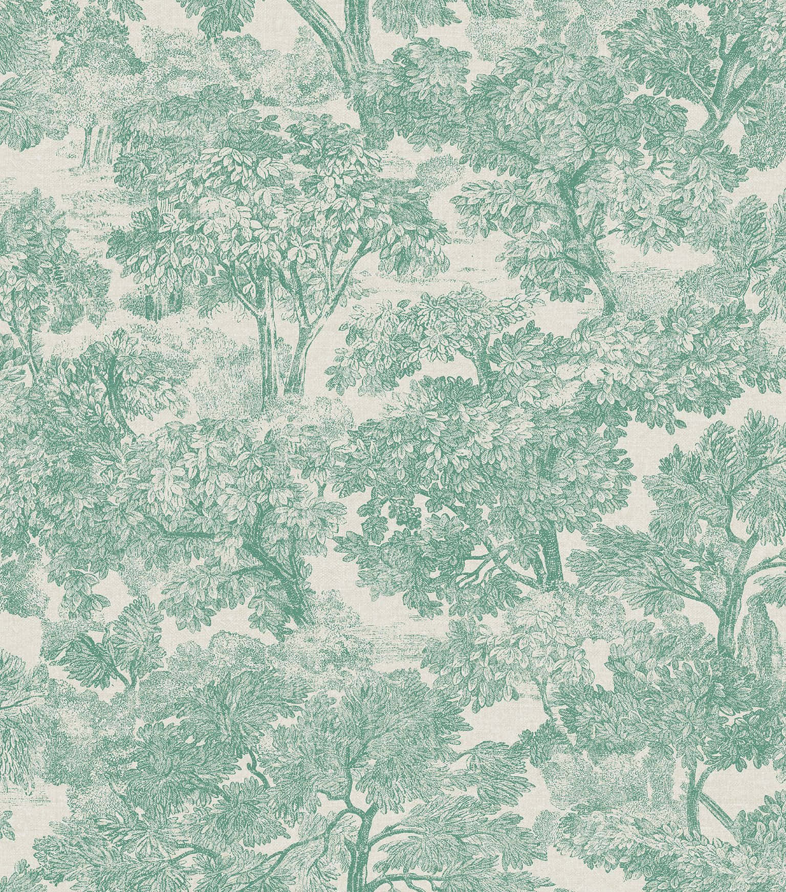 Sage Green na Aesthetic Background na Payapa Wallpaper