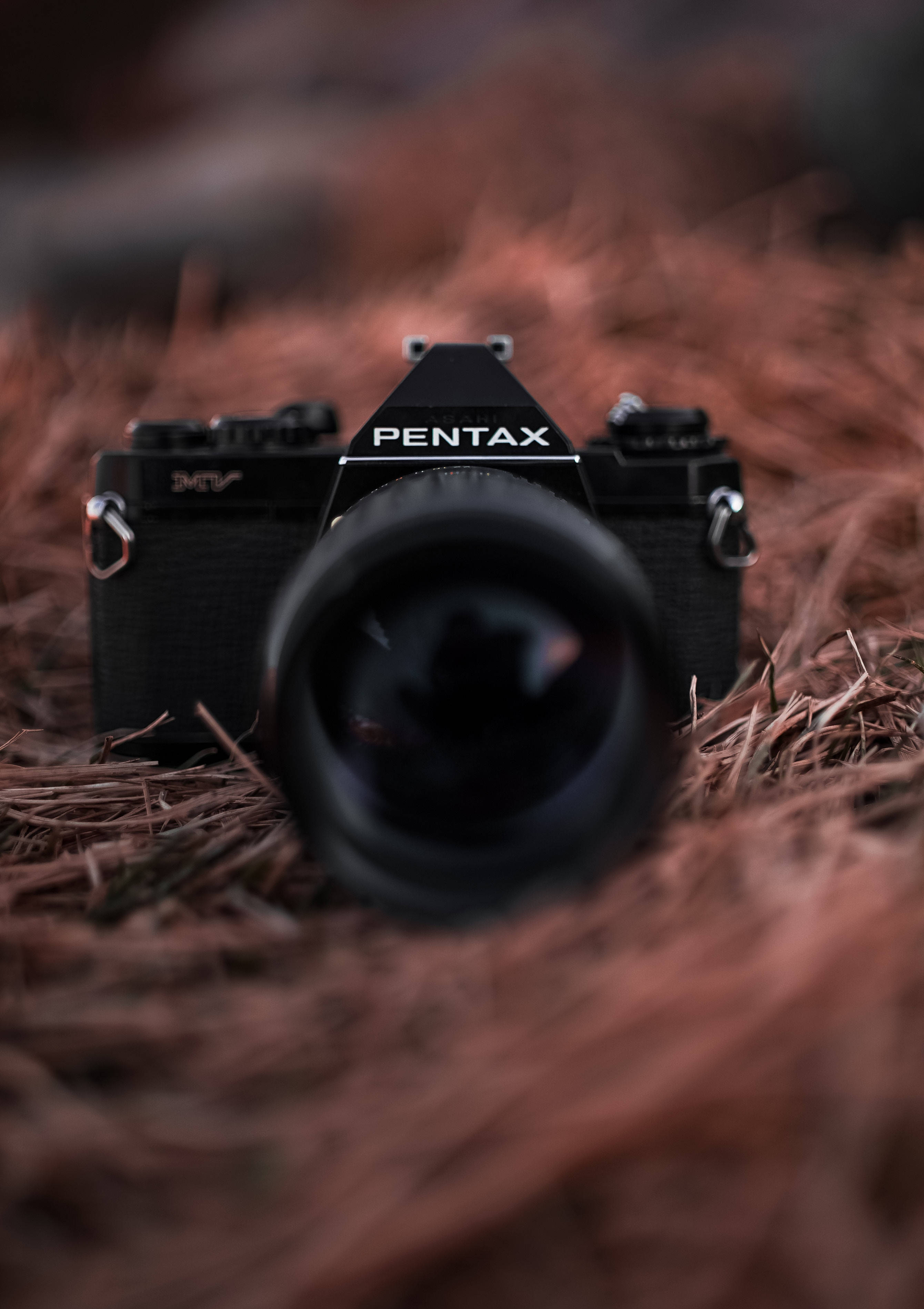 Sakupin ang ganda ng buhay gamit ang Pentax Camera Wallpaper