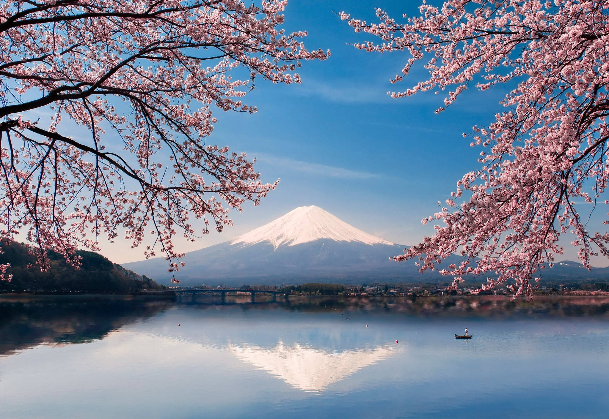 Sakura ng Fuji Japan 4K Wallpaper